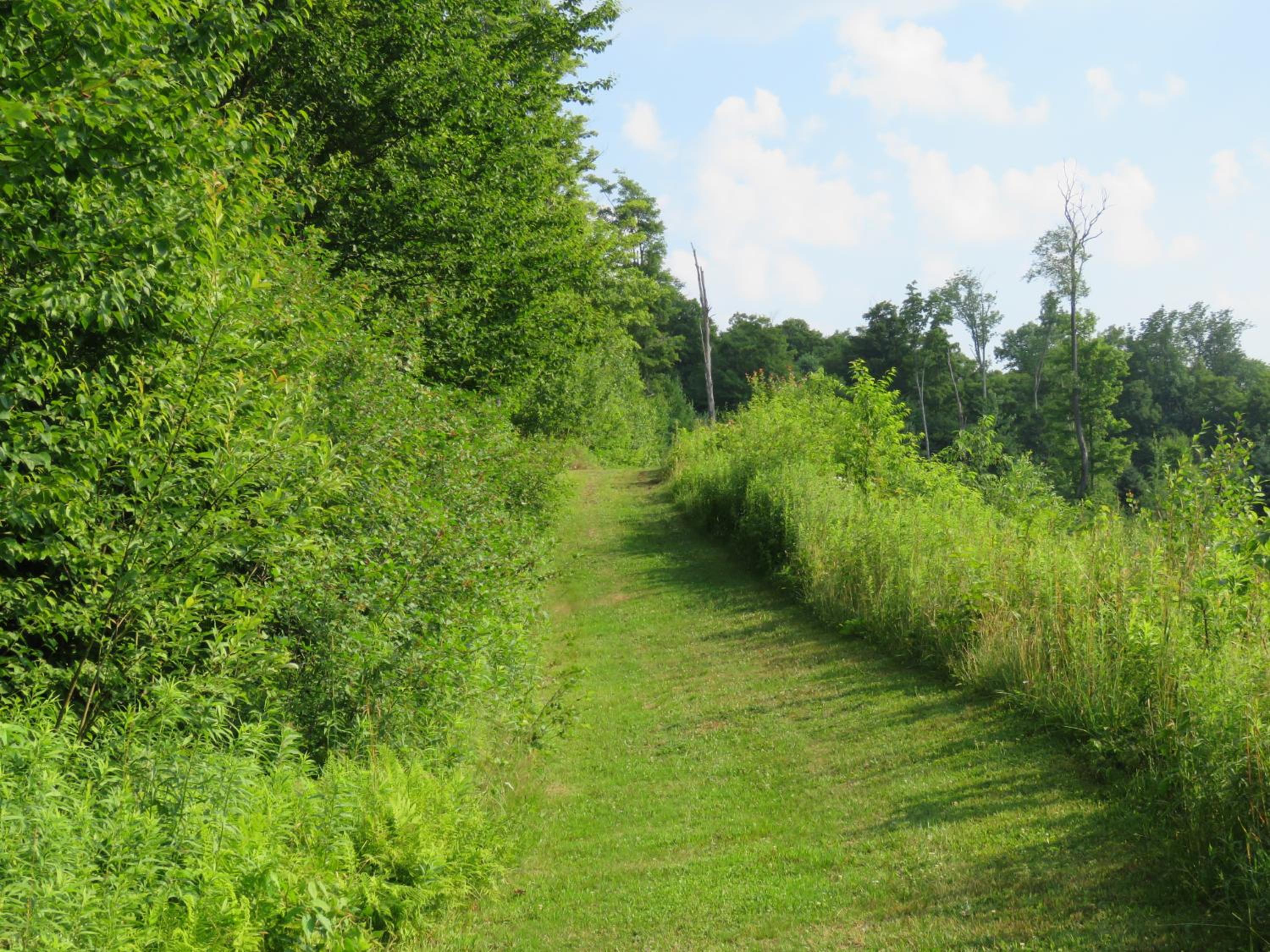 Tug Hill Resort