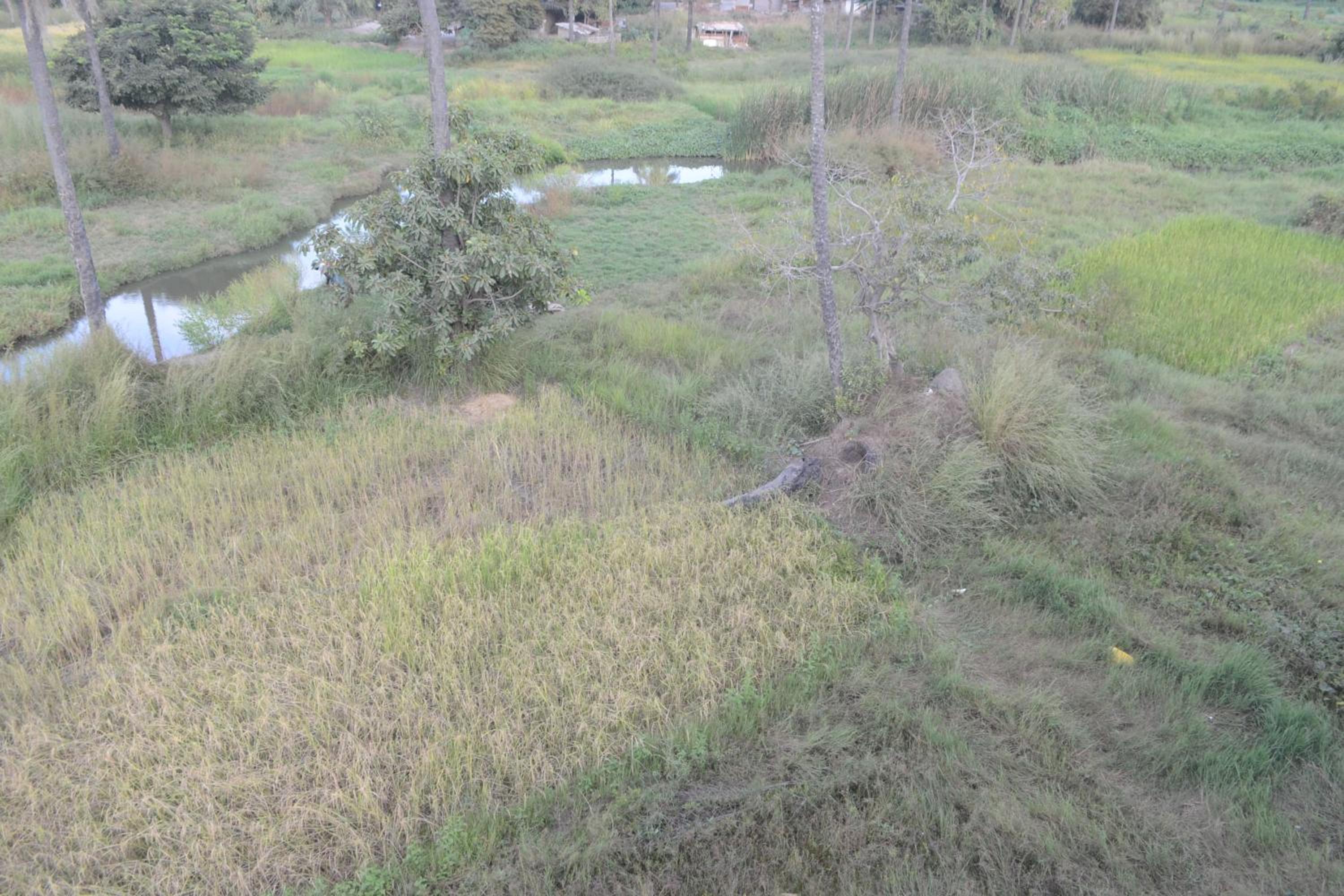 Drammeh's Villa