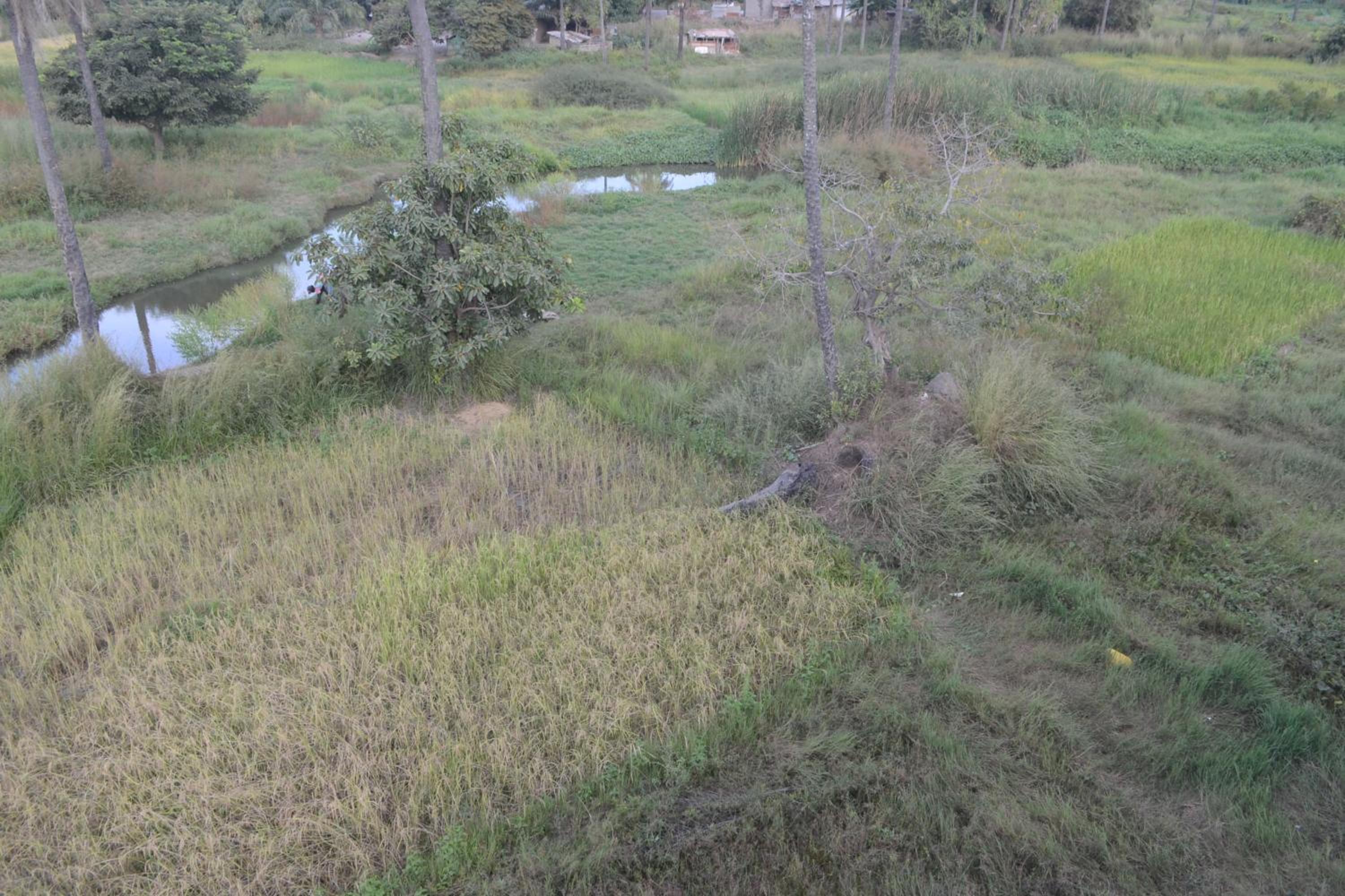 Drammeh's Villa
