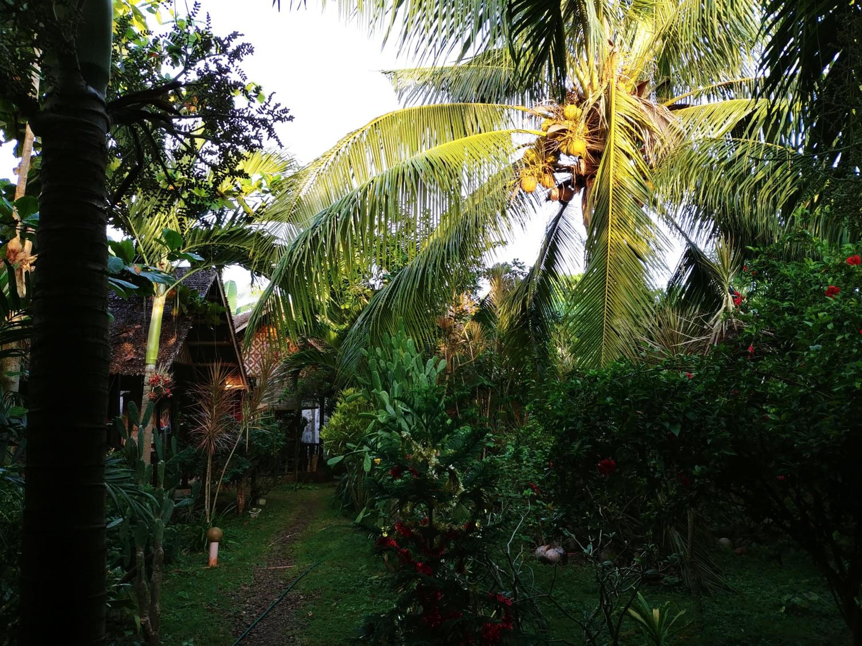 Photo 23