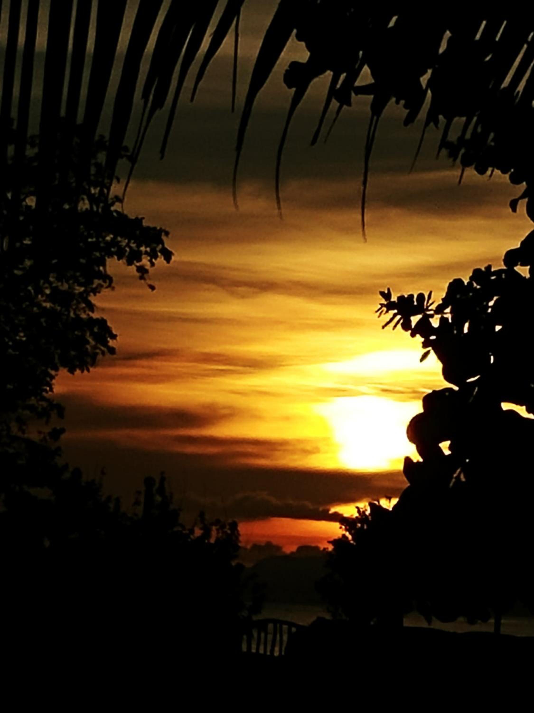Reggae Guesthouse view 2
