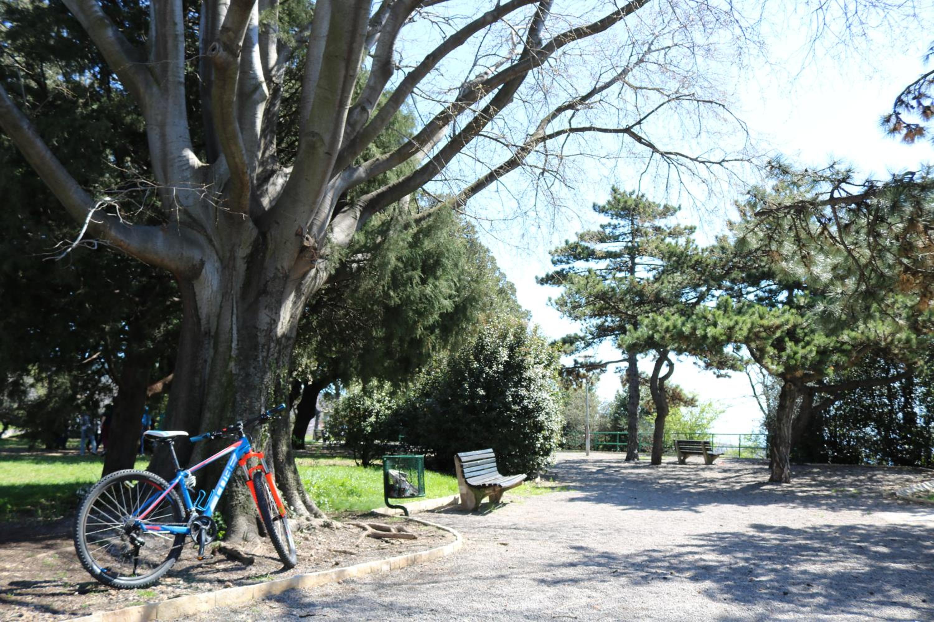 Photo 43