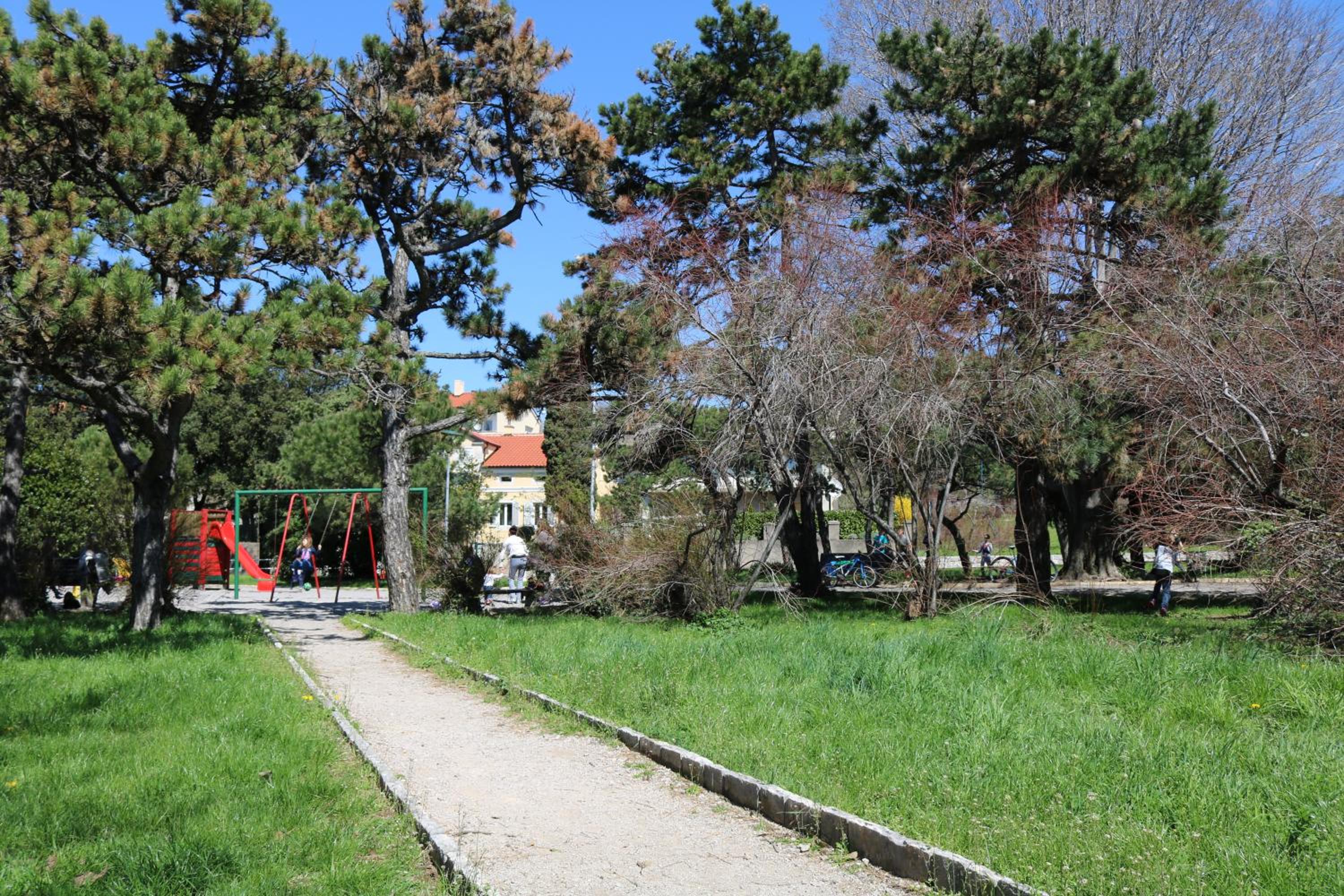 Photo 45