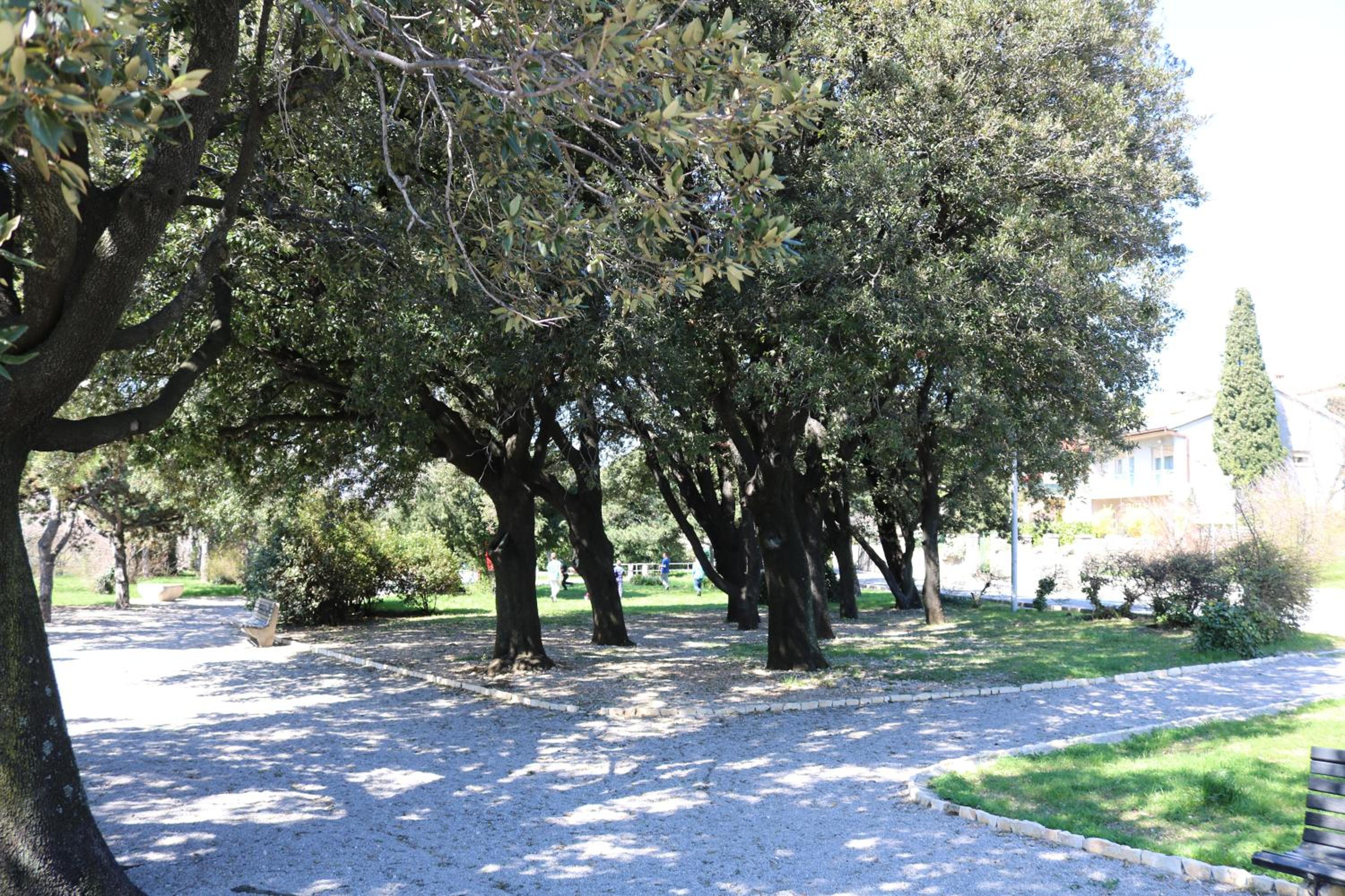Photo 47