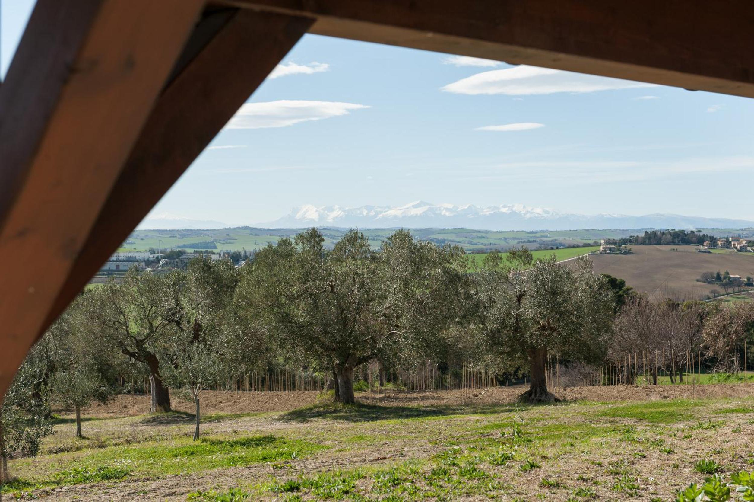 Villa Coralia Agriturismo