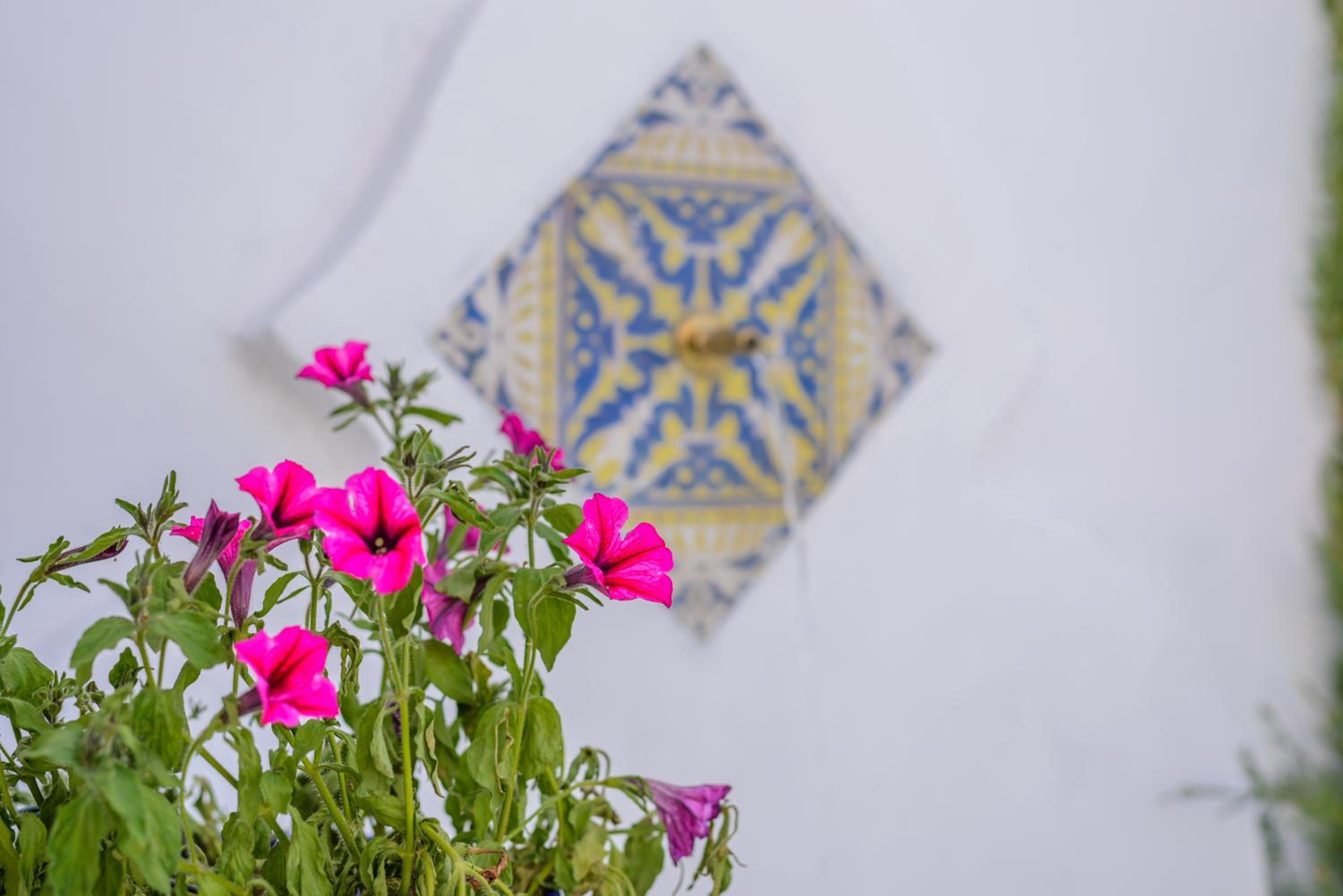 Casa de la Tita Vitoria
