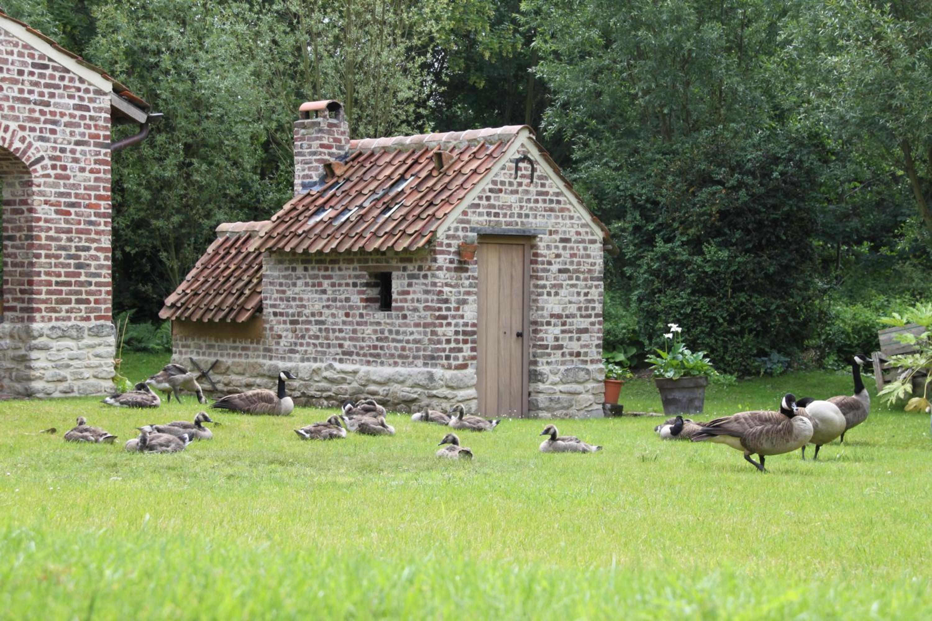 Logies Tommenmolen