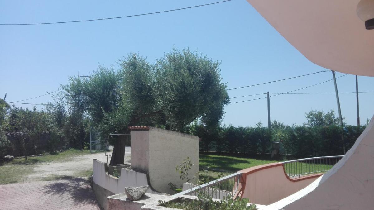 Photo 46