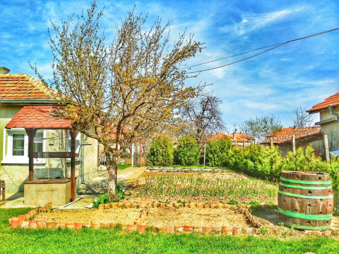 Guest House Dimi