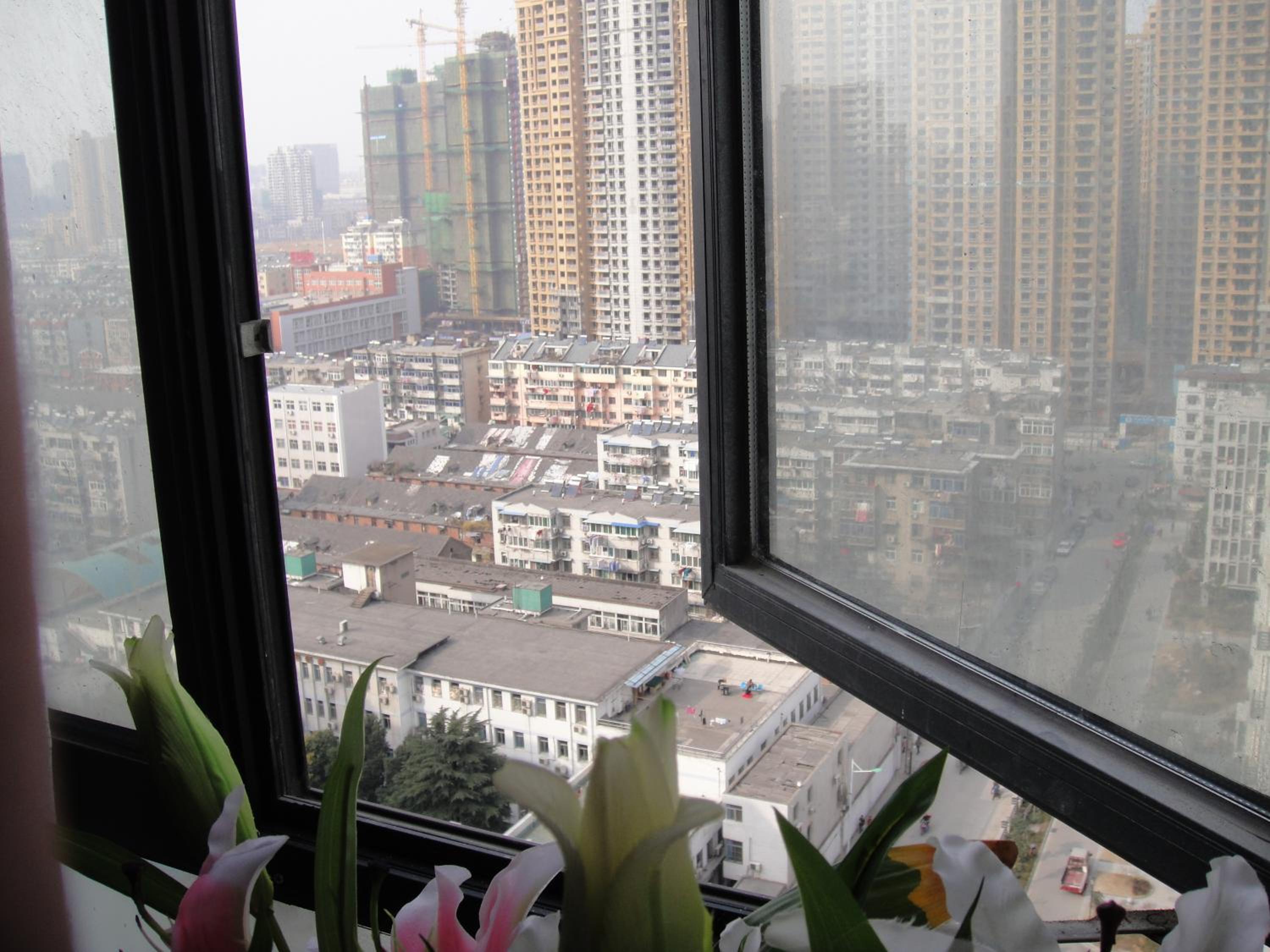 Hefei Vanward Fashion Short Rent