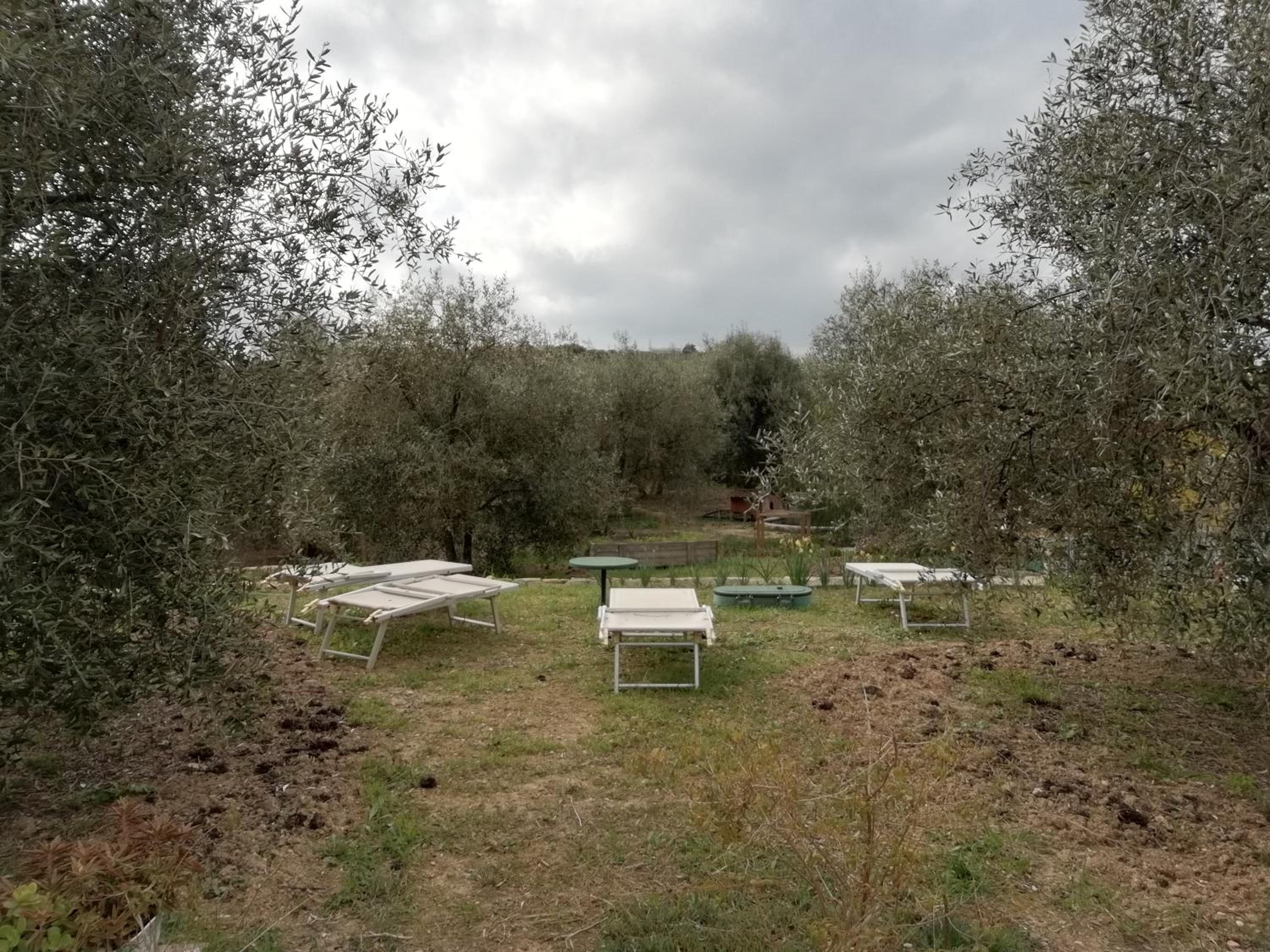 Agriturismo Green House view 5