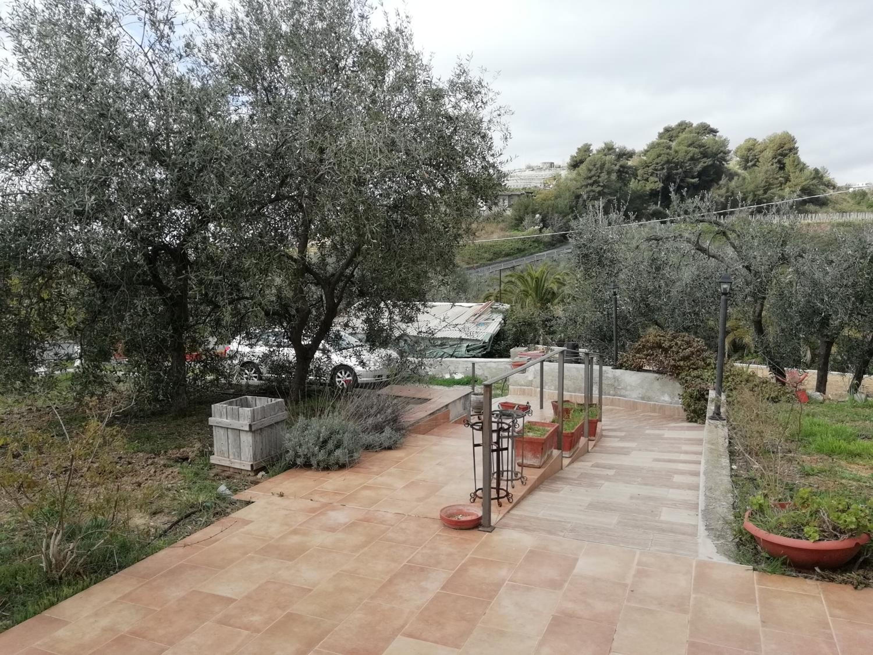 Agriturismo Green House view 4