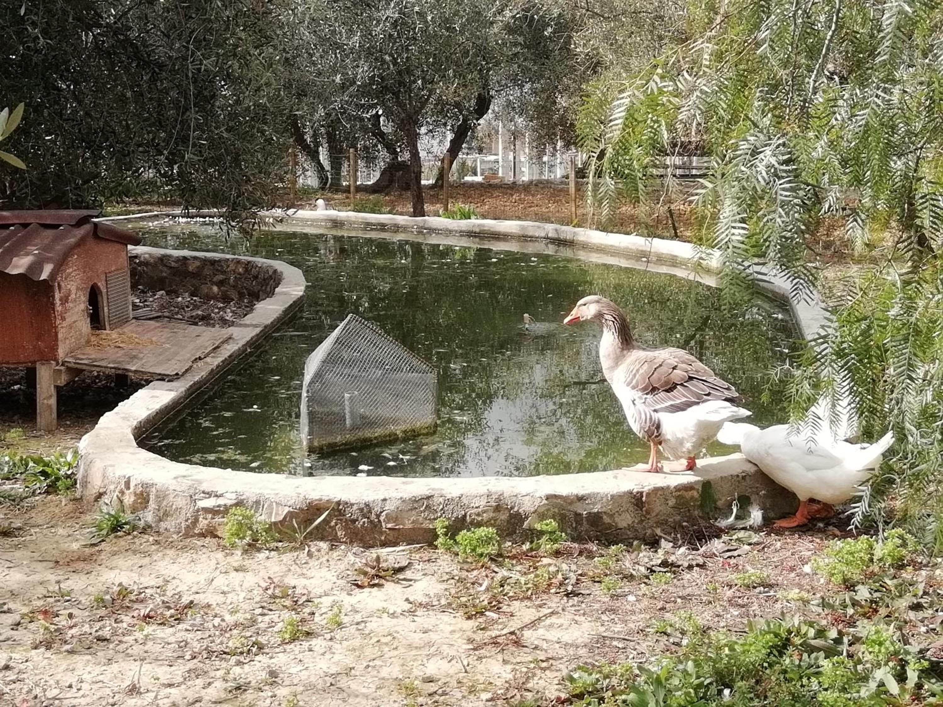 Agriturismo Green House view 2
