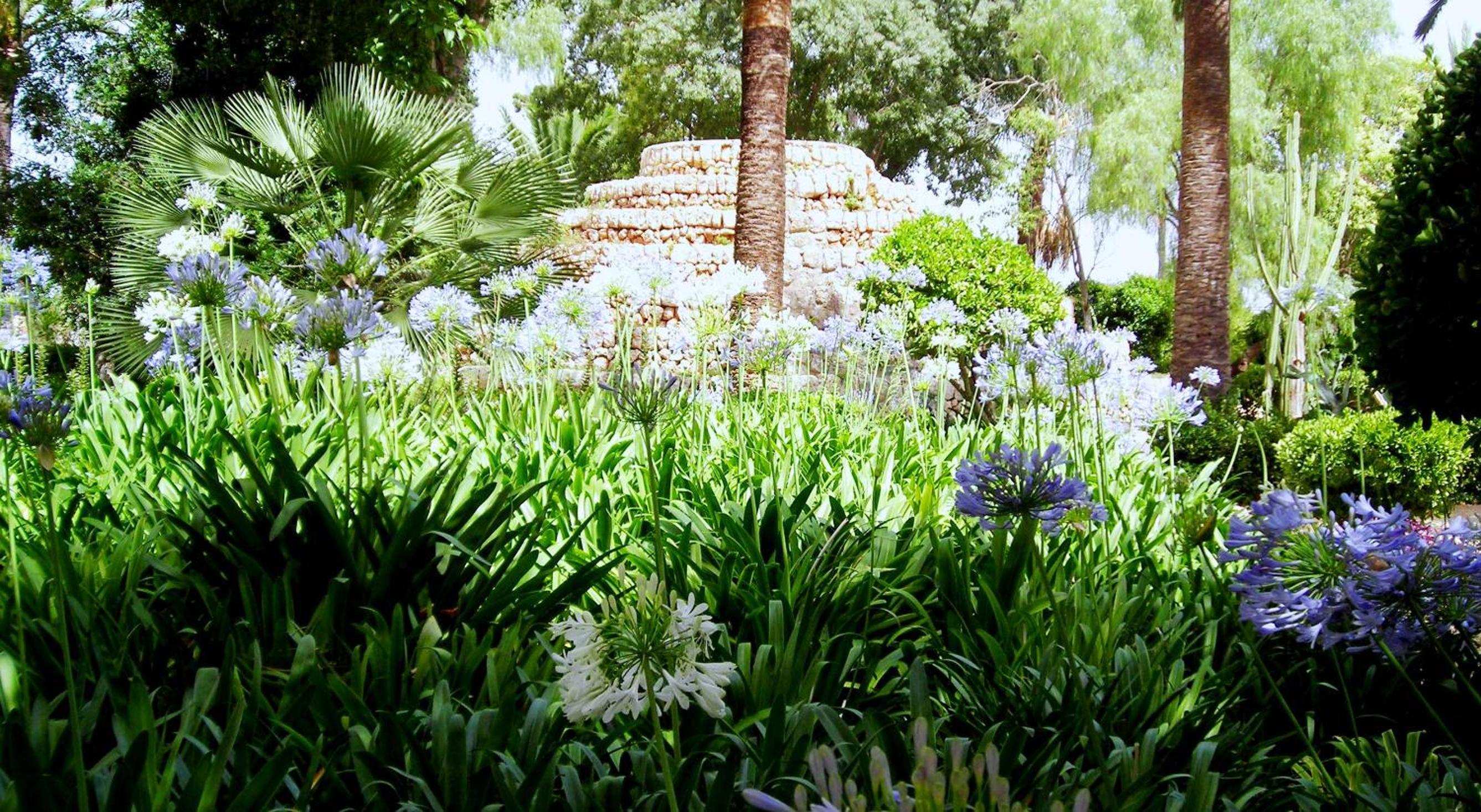 Photo 46