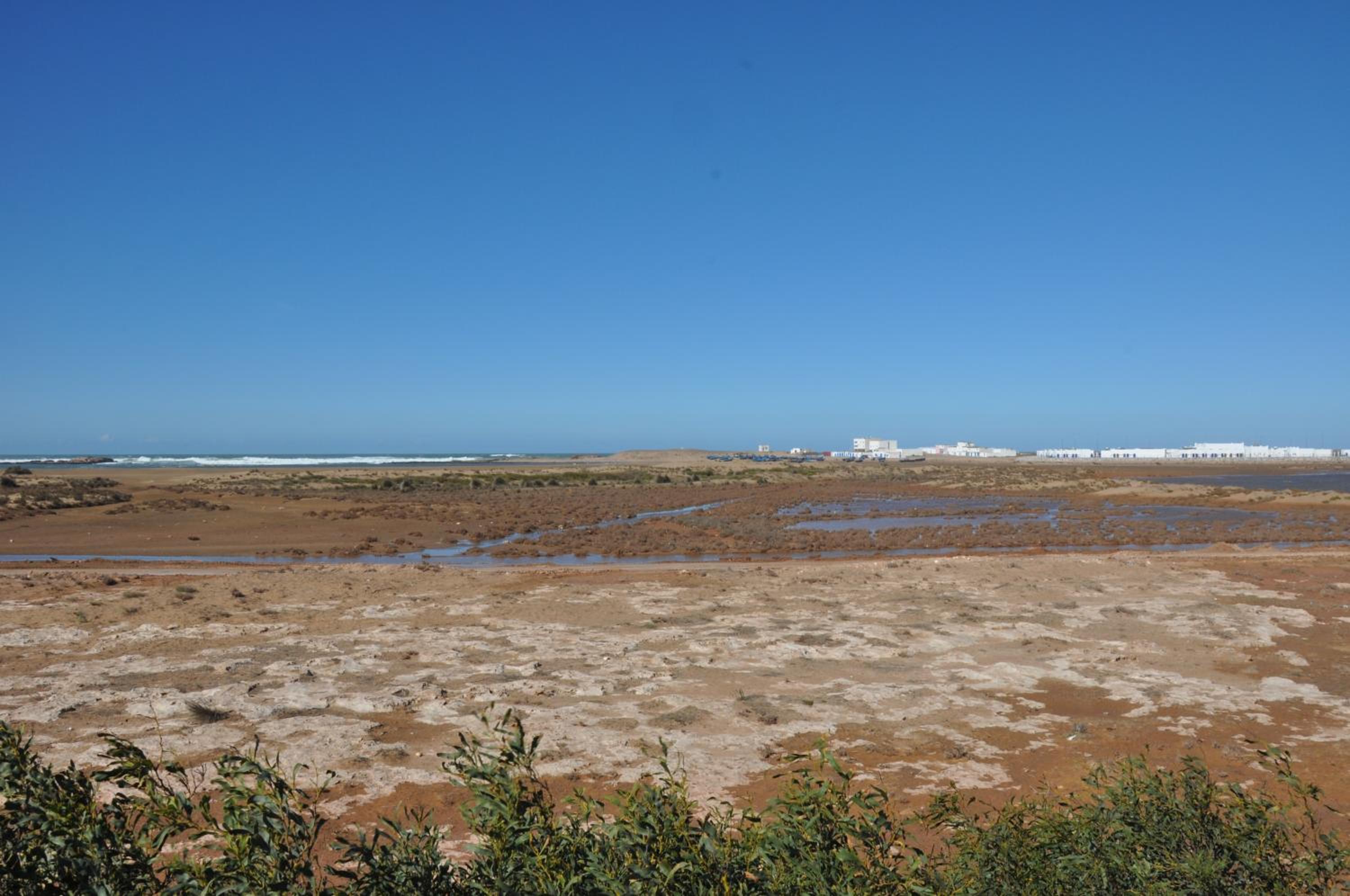 Photo 44