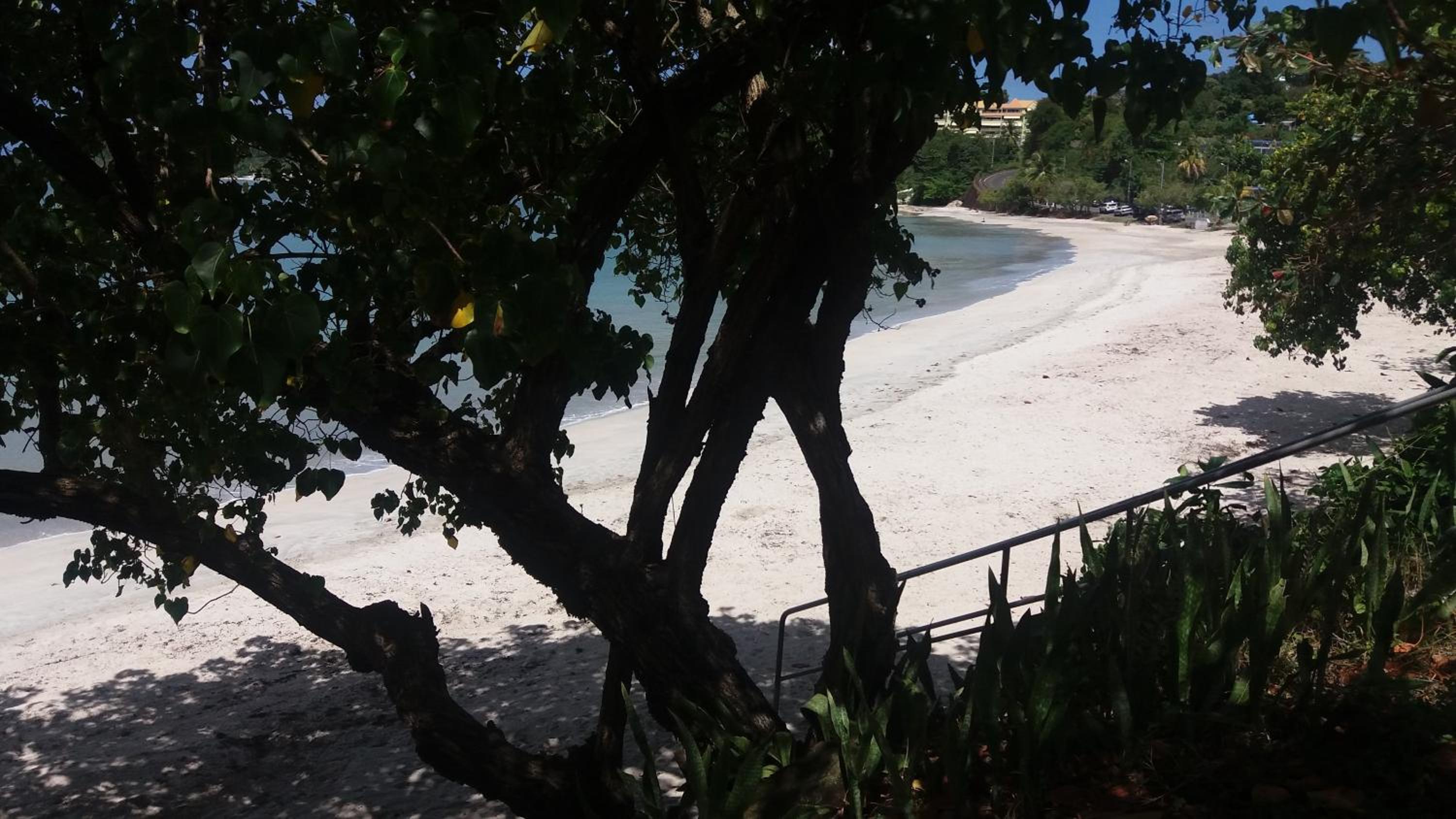 B&B Plage Des Raisiniers view 5