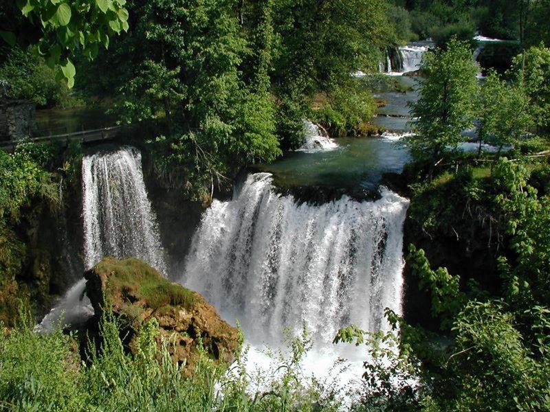 Apartman Drenovac