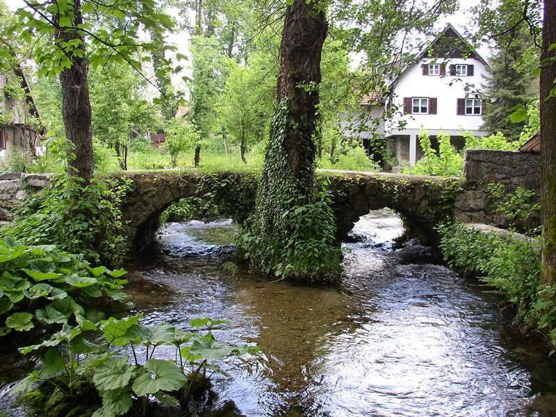 Apartman Drenovac