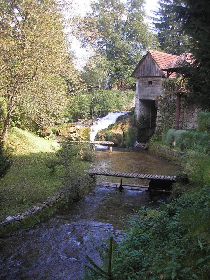 Apartman Drenovac