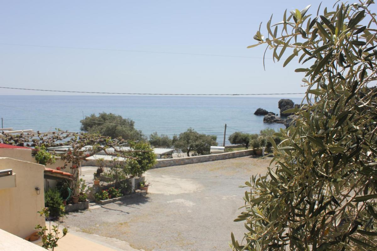 Virgin Mary view 3