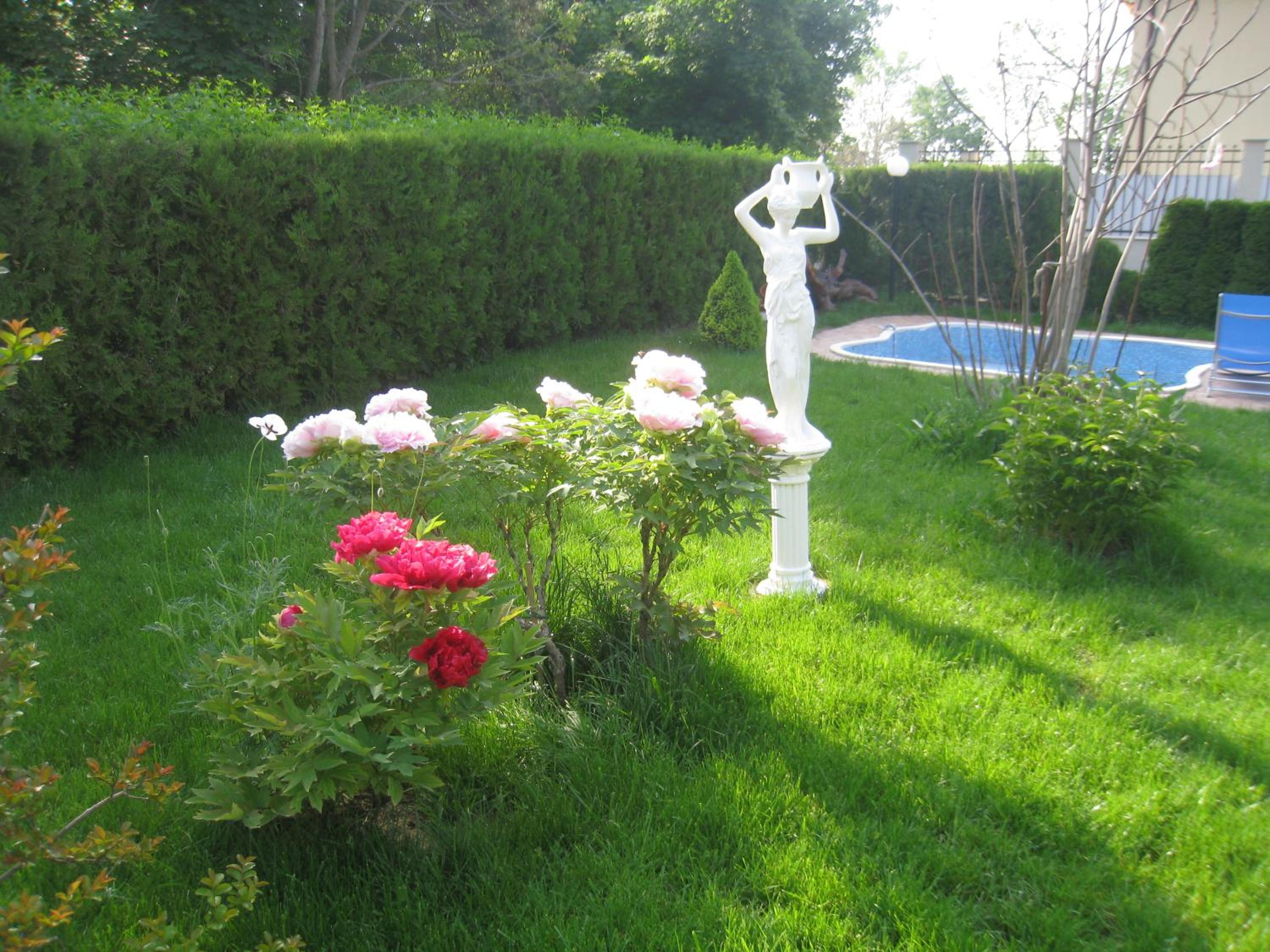 Vila Saltanat 41