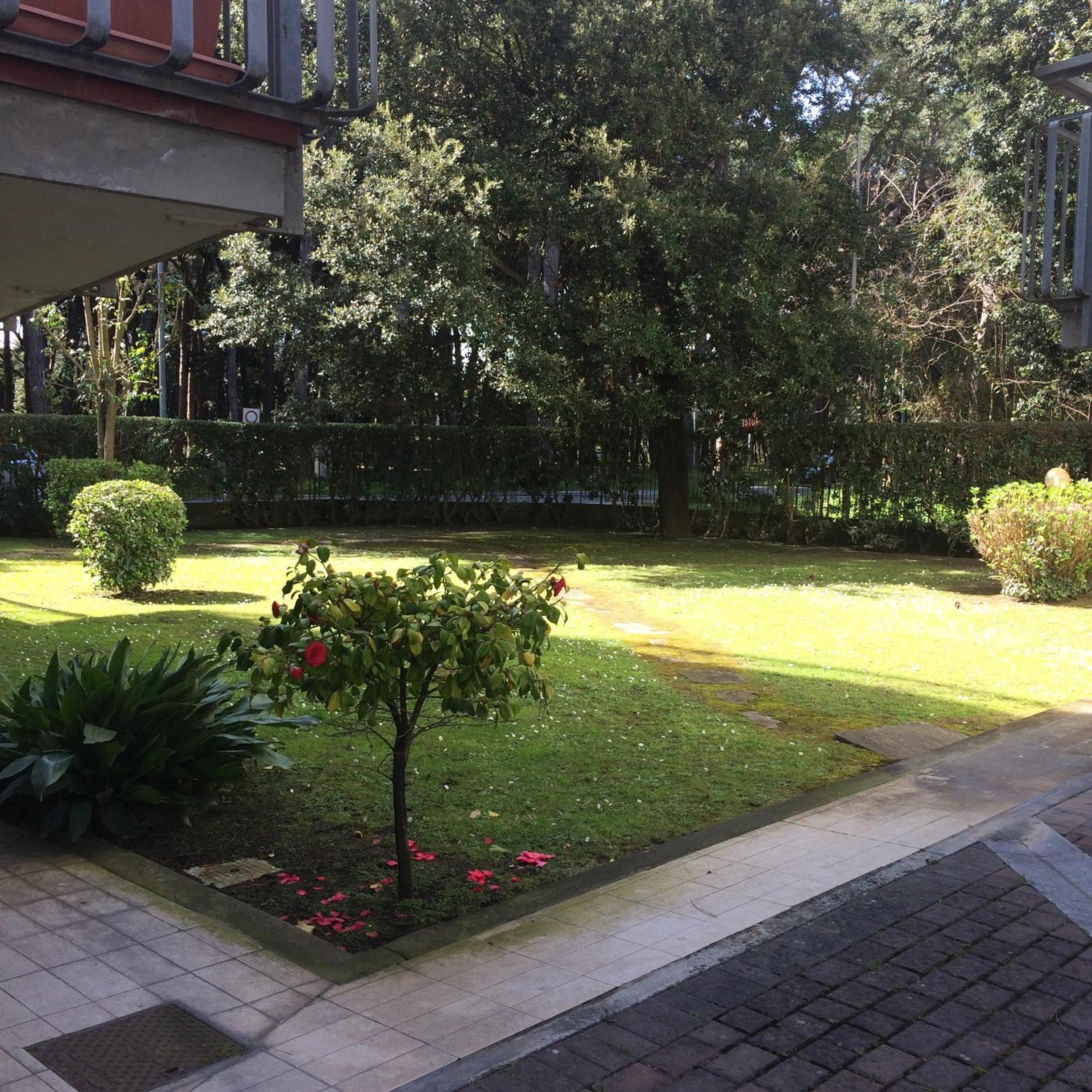 confort home view 4