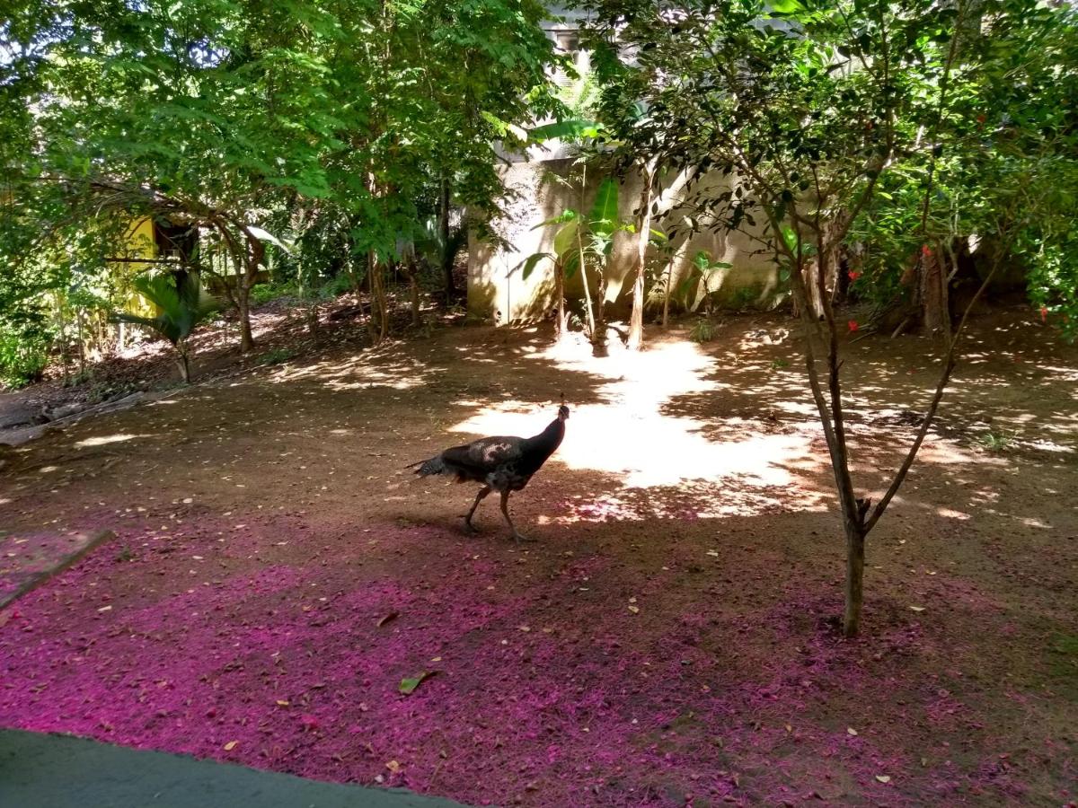 Pousada Camping Porto Grande