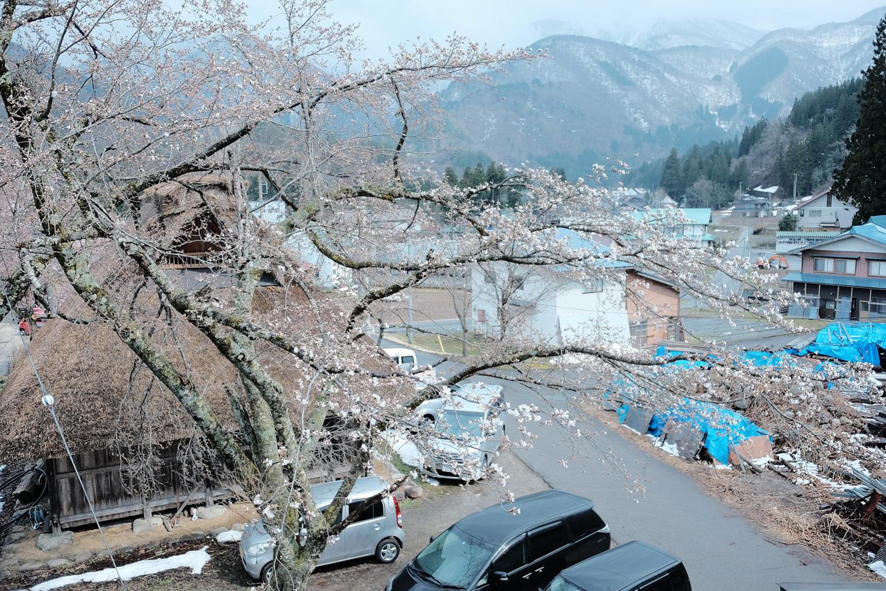 Shirakawago Guest House Kei