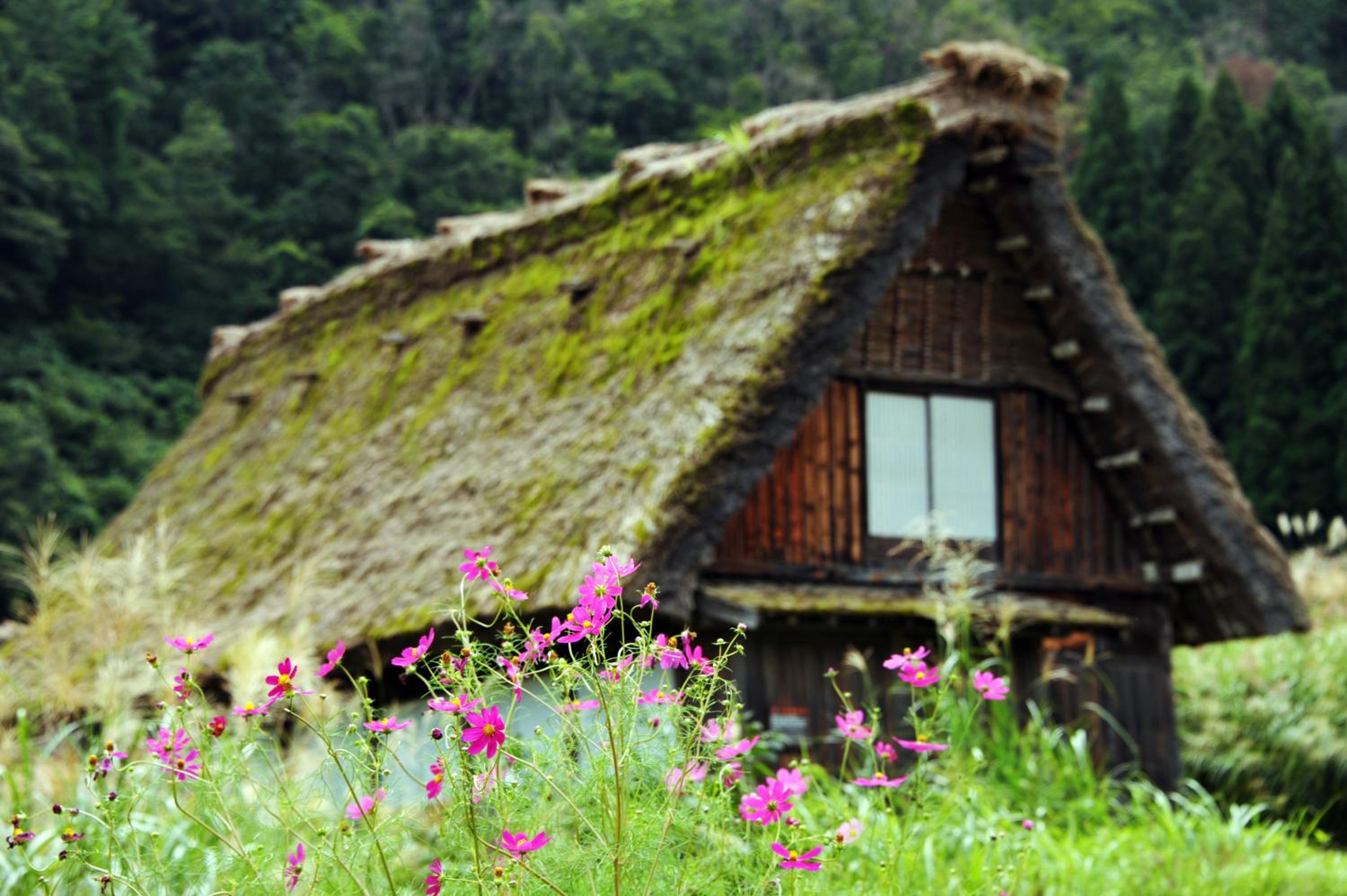 Shirakawago Guest House Kei