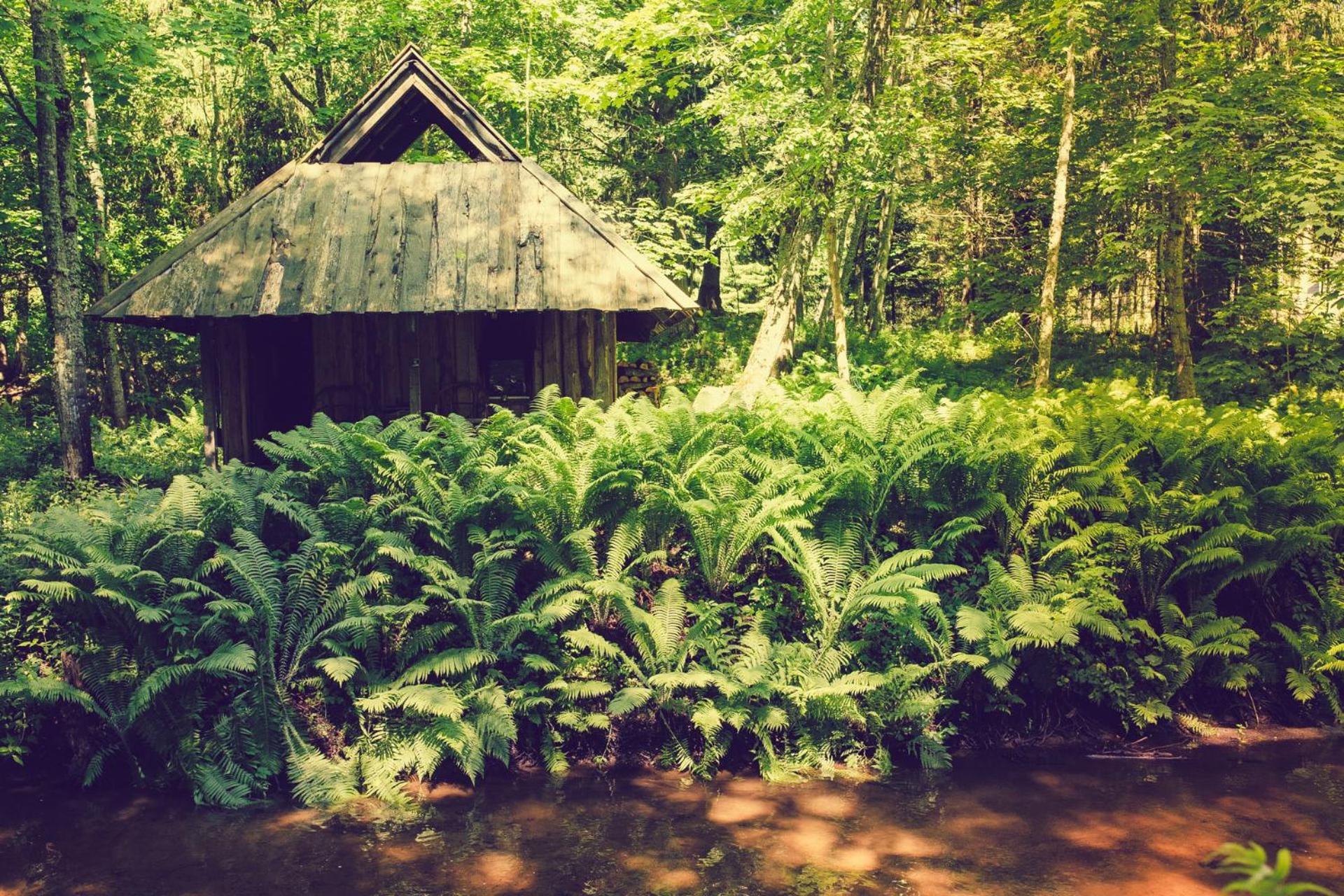 Adami Country Guesthouse