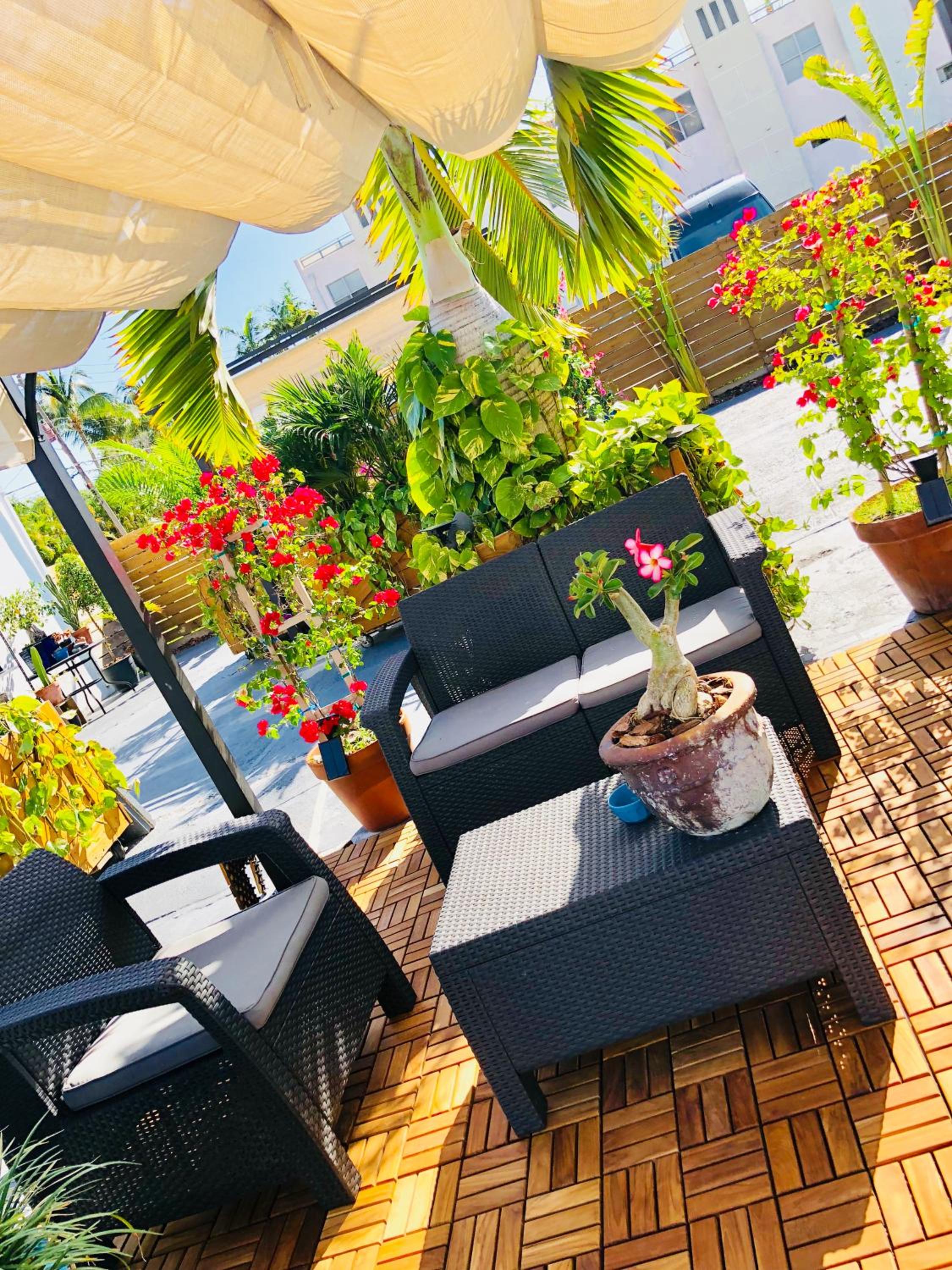 Oasis Hotel
