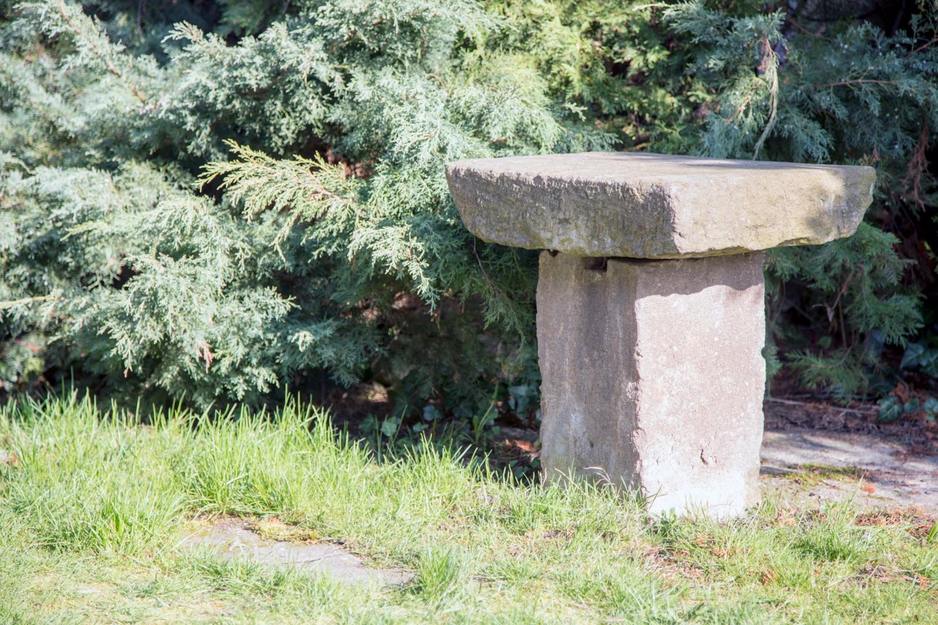 Photo 28