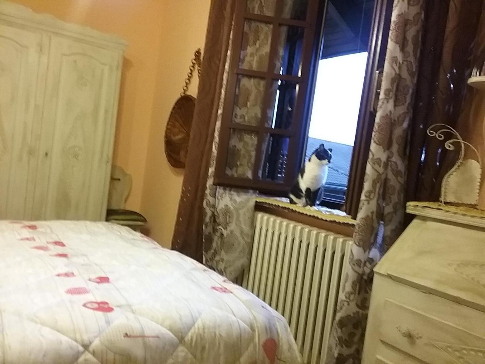 B&B La Gerbolina