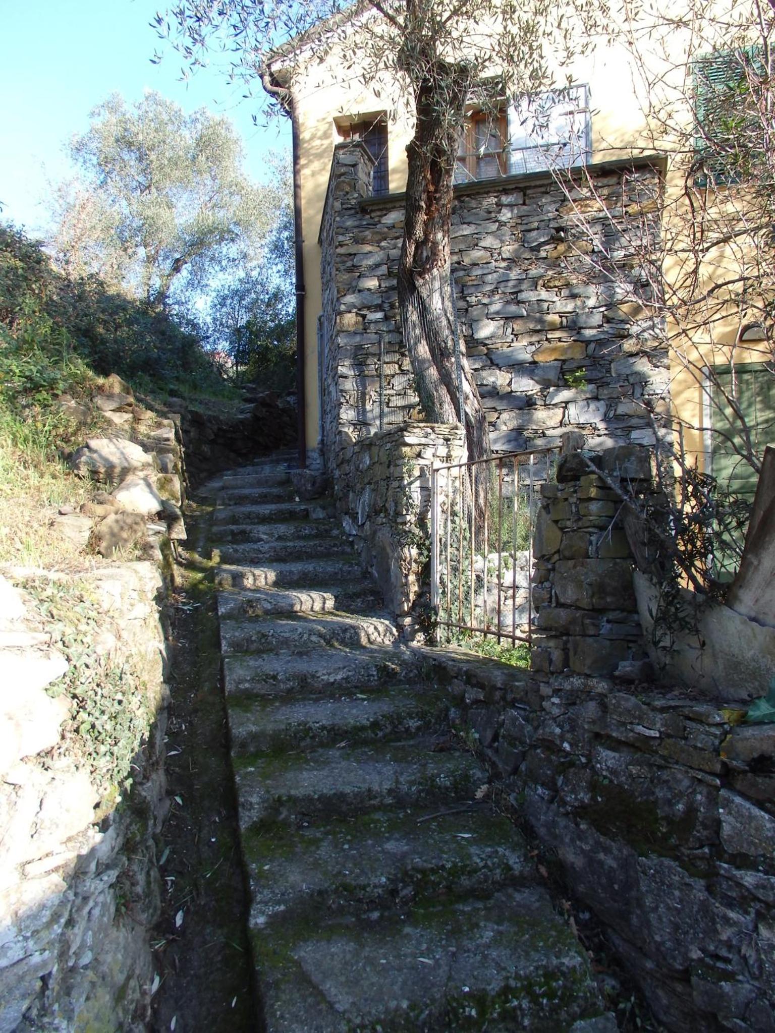 Photo 38