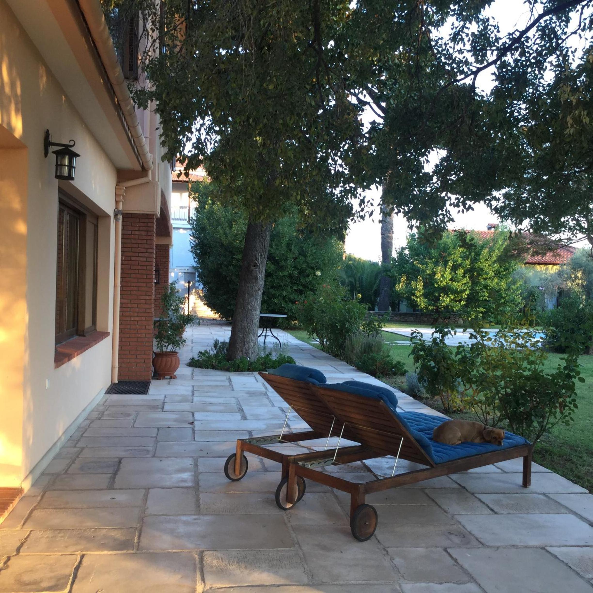 Photo 6