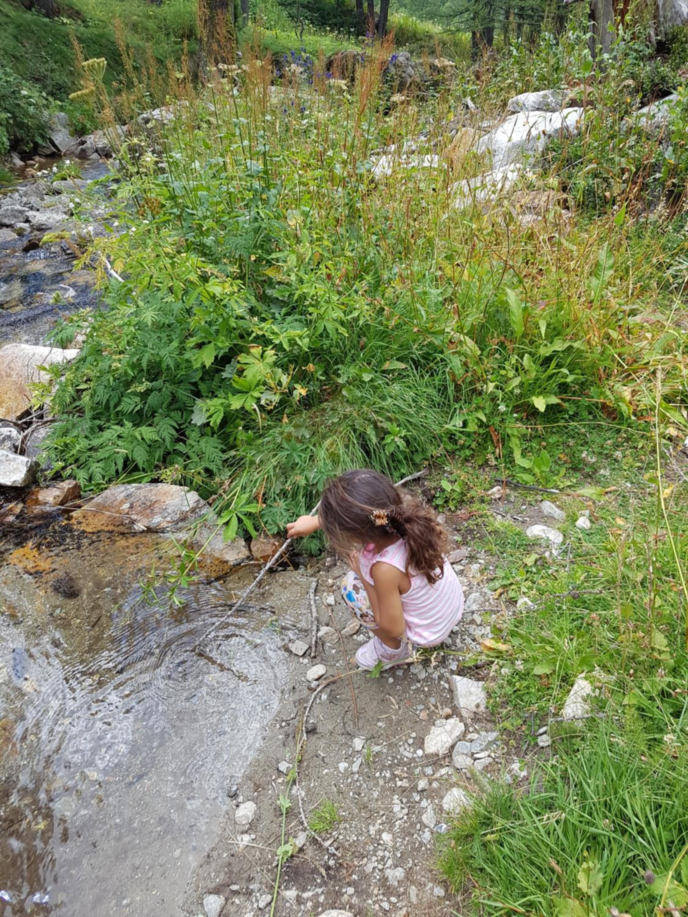 Photo 12