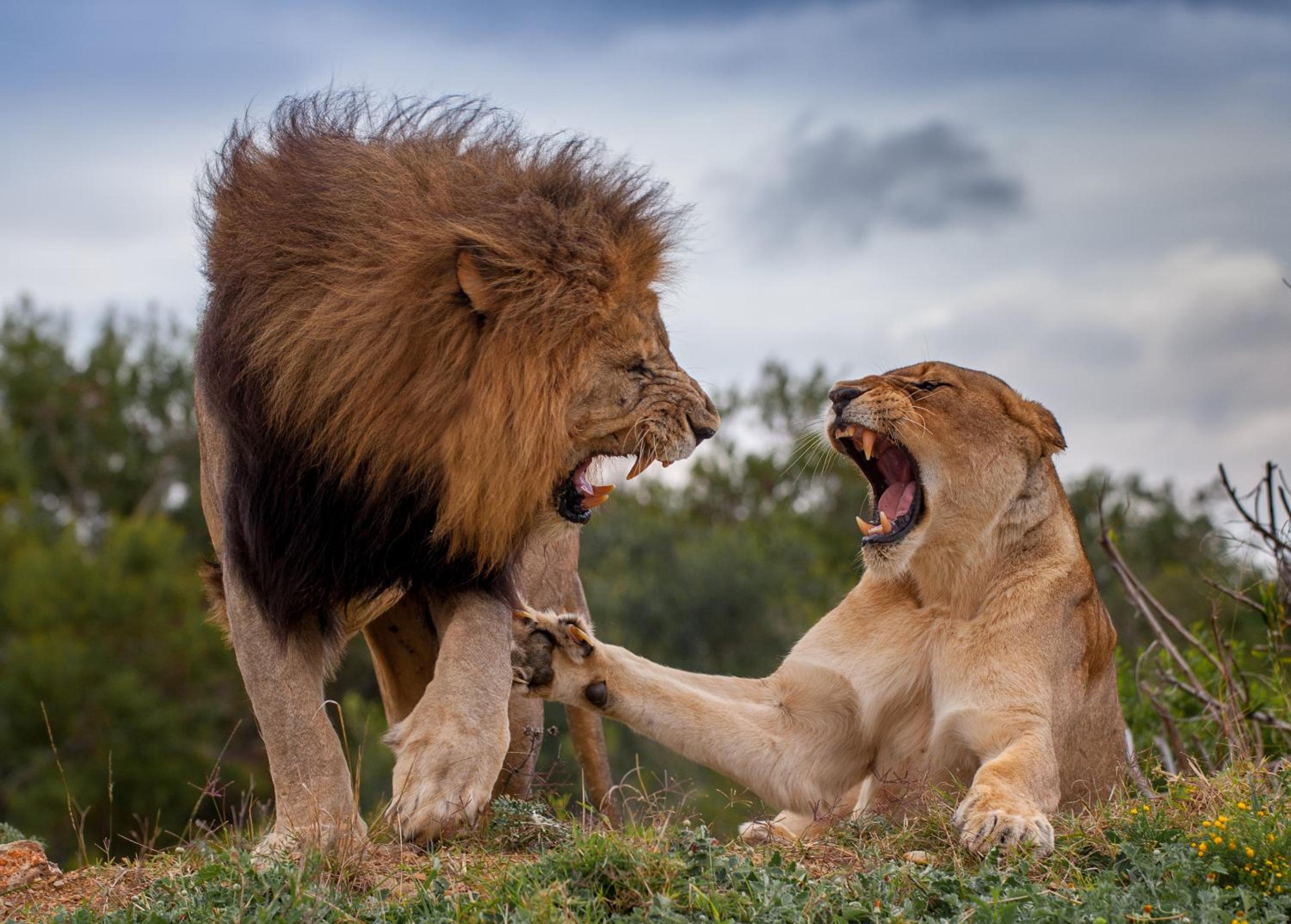 Kariega Game Reserve Ukhozi Lodge view 2