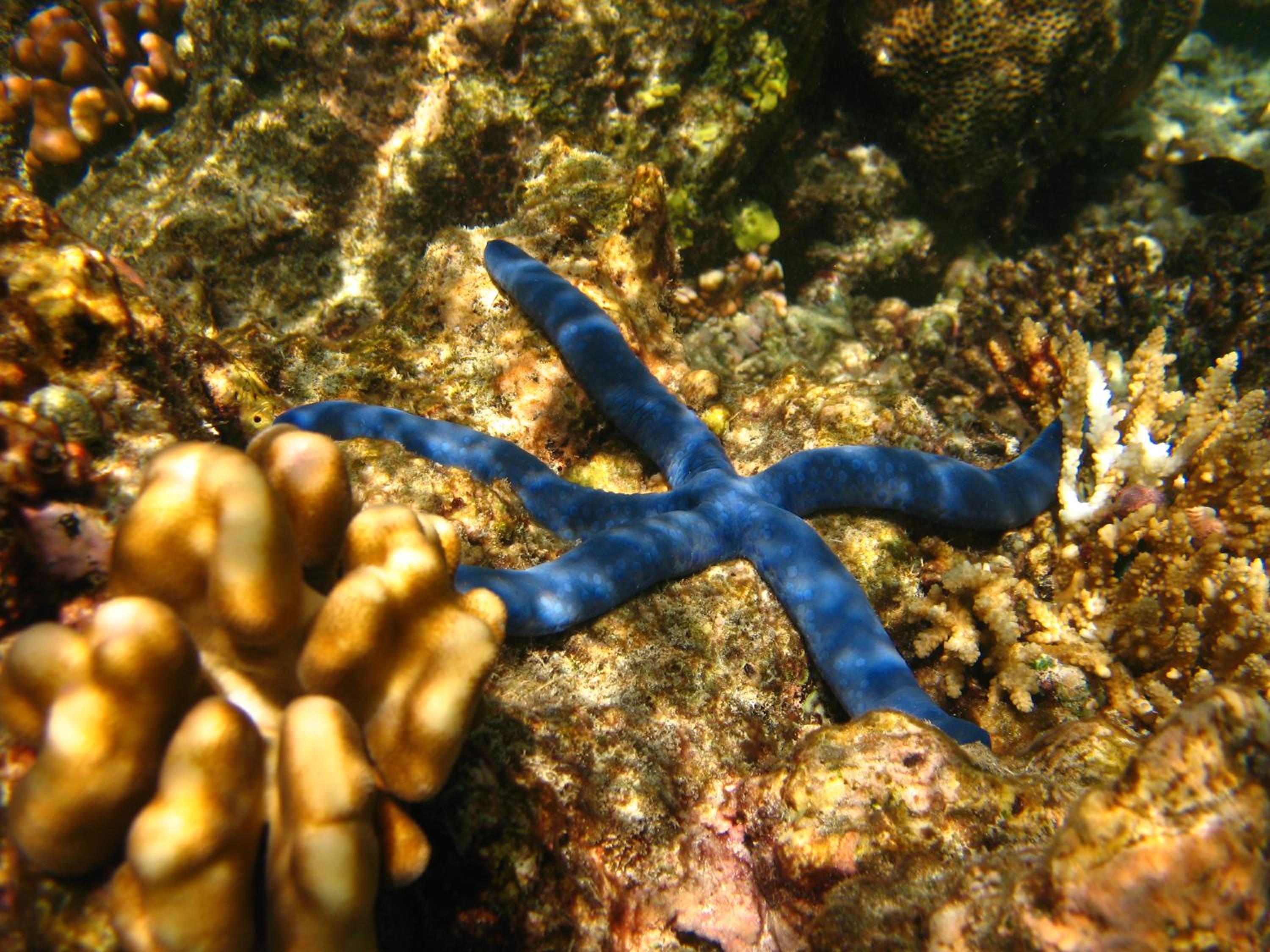 Photo 25