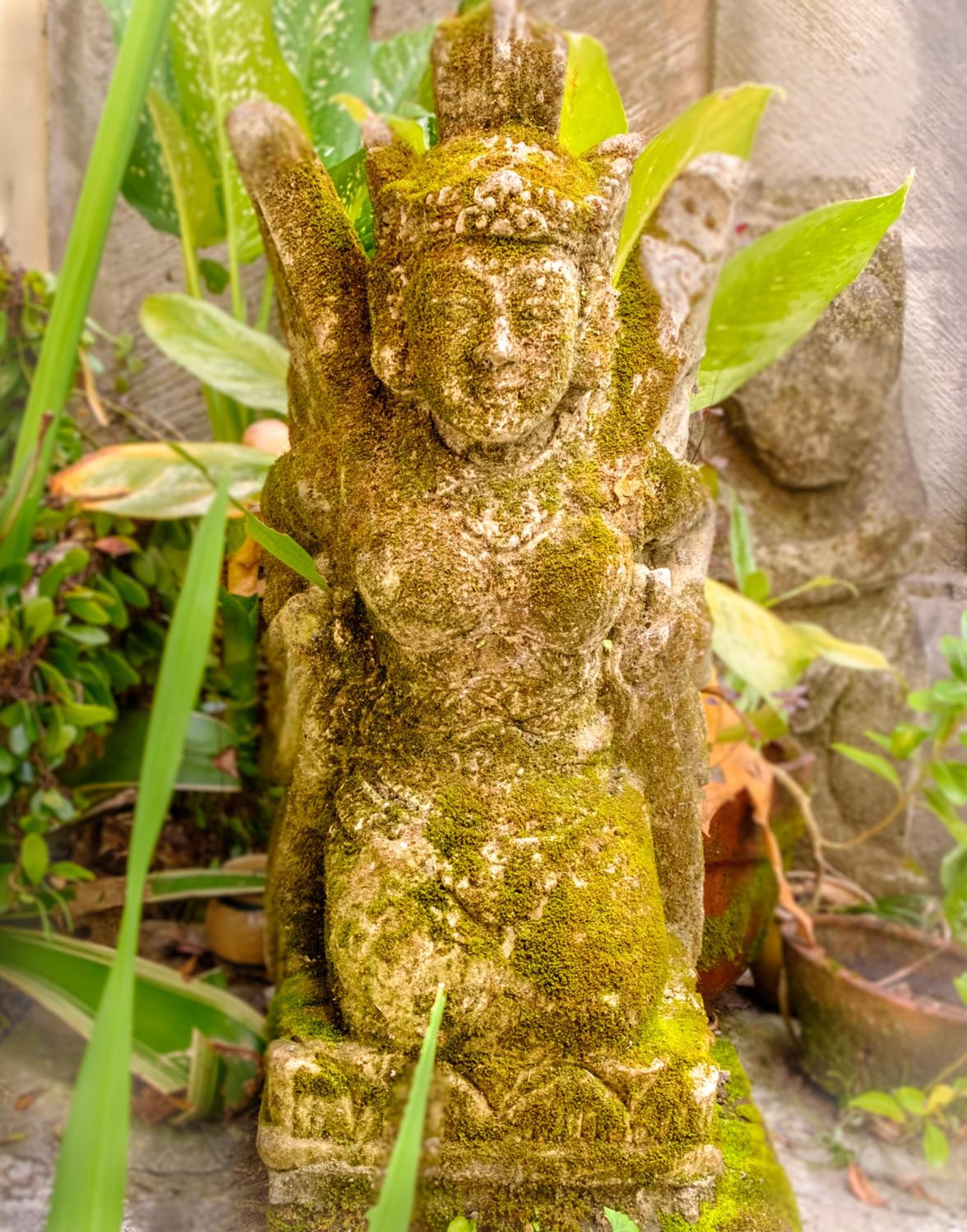 Photo 23