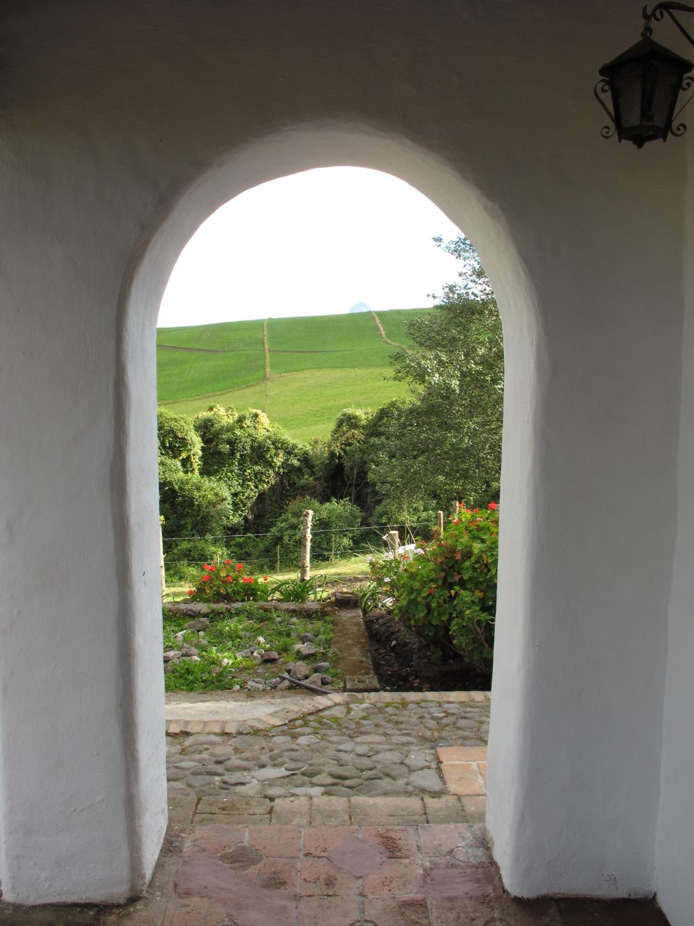 Photo 48