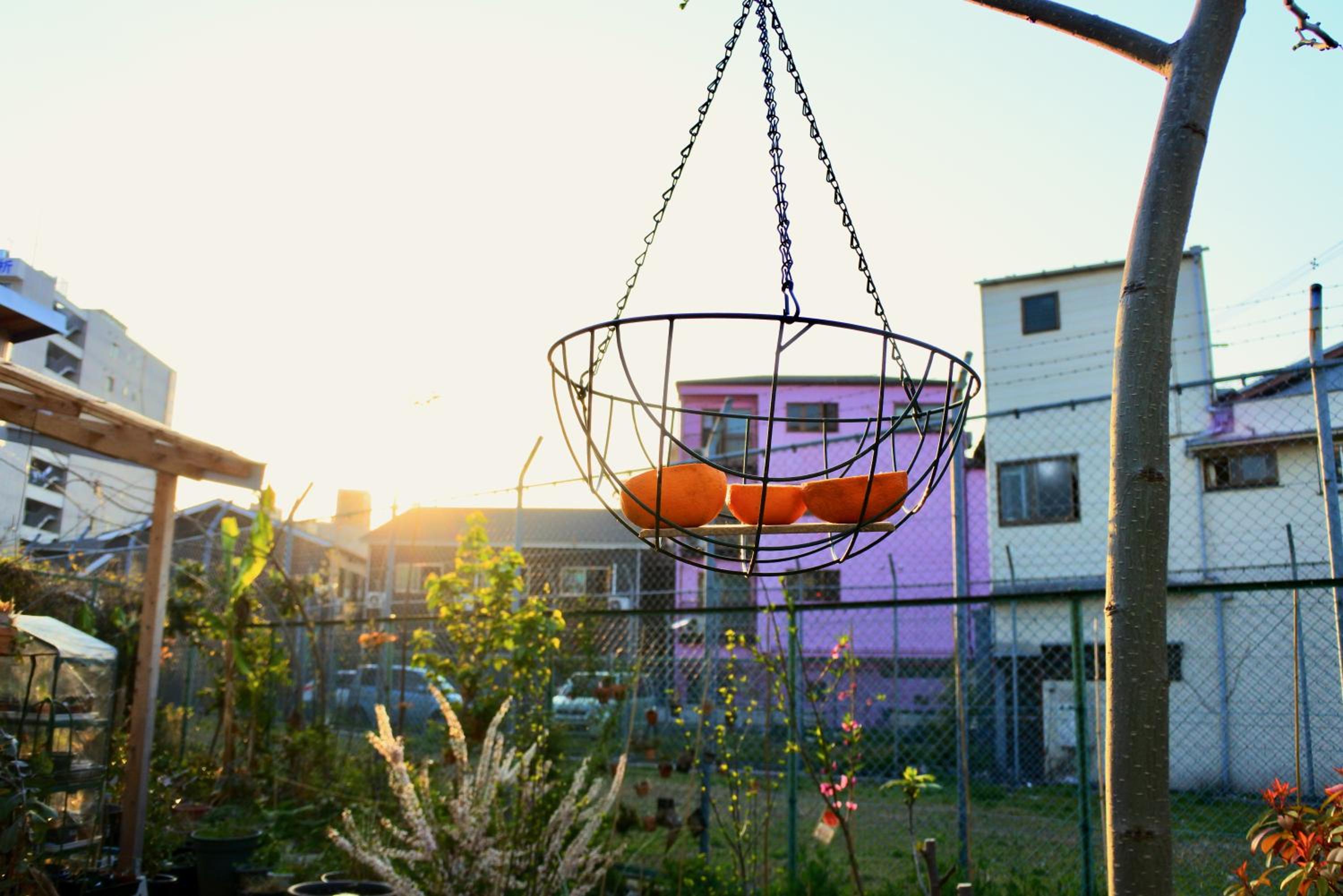 Kamagasaki University of the Arts Cafe Garden Guest House aka Cocoroom