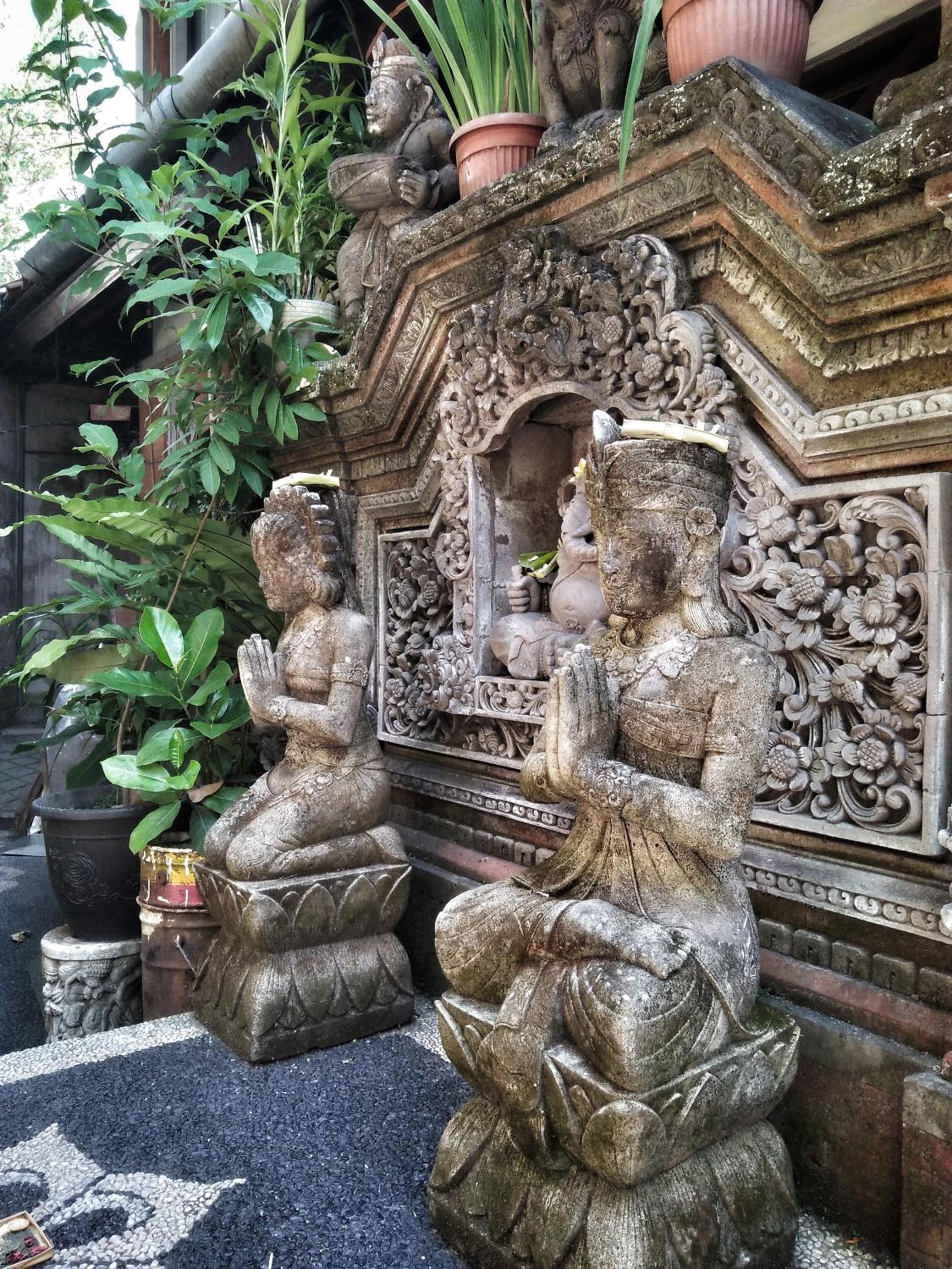 Photo 19