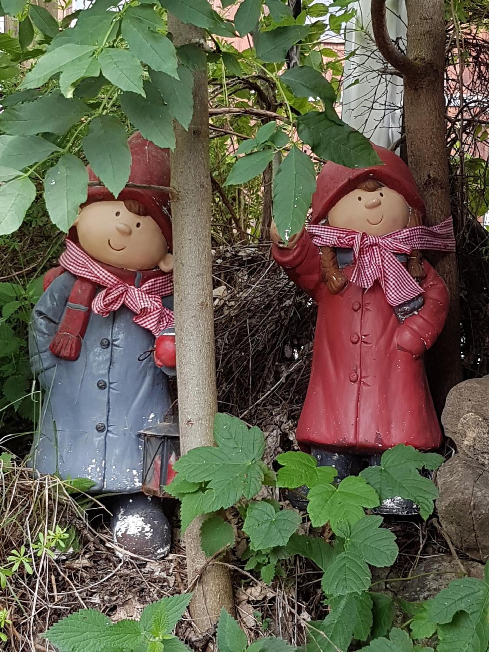 Gite Du Bois De L'ours
