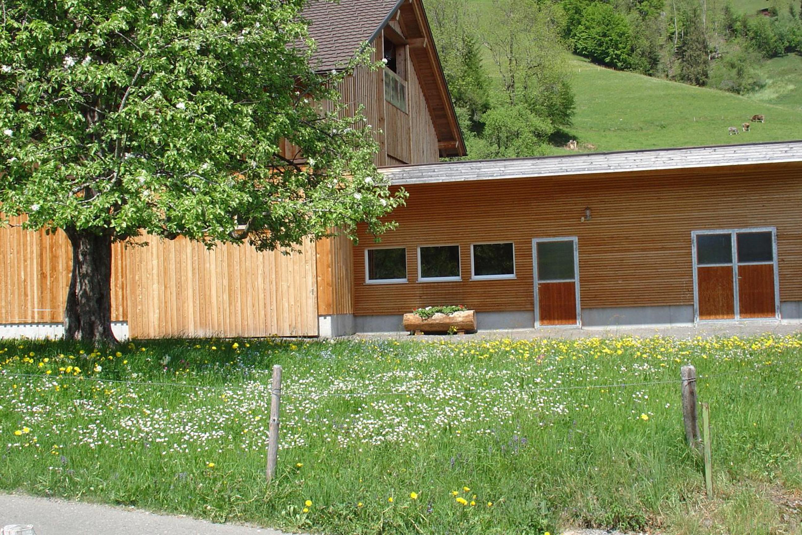 Photo 15
