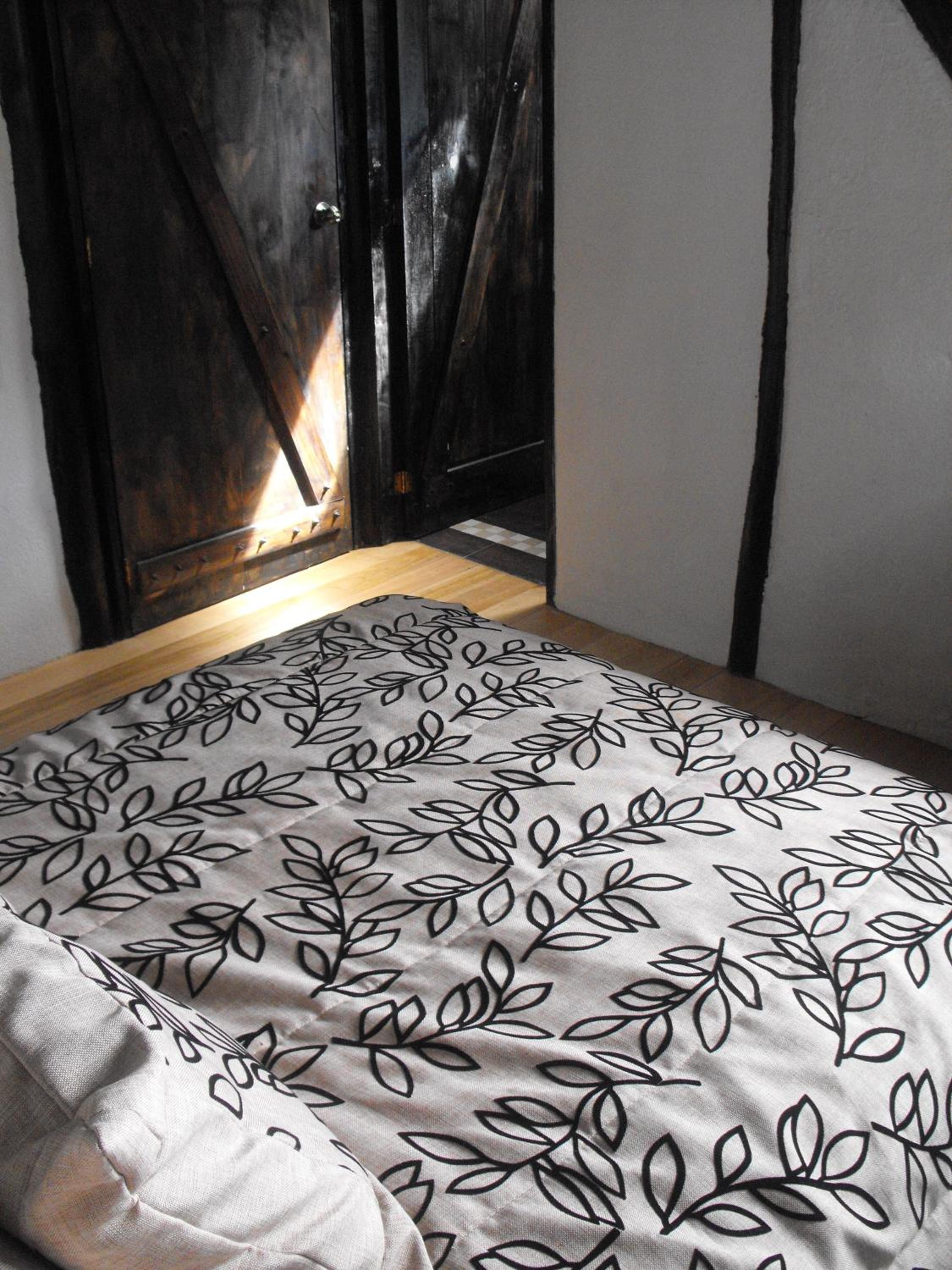Photo 64