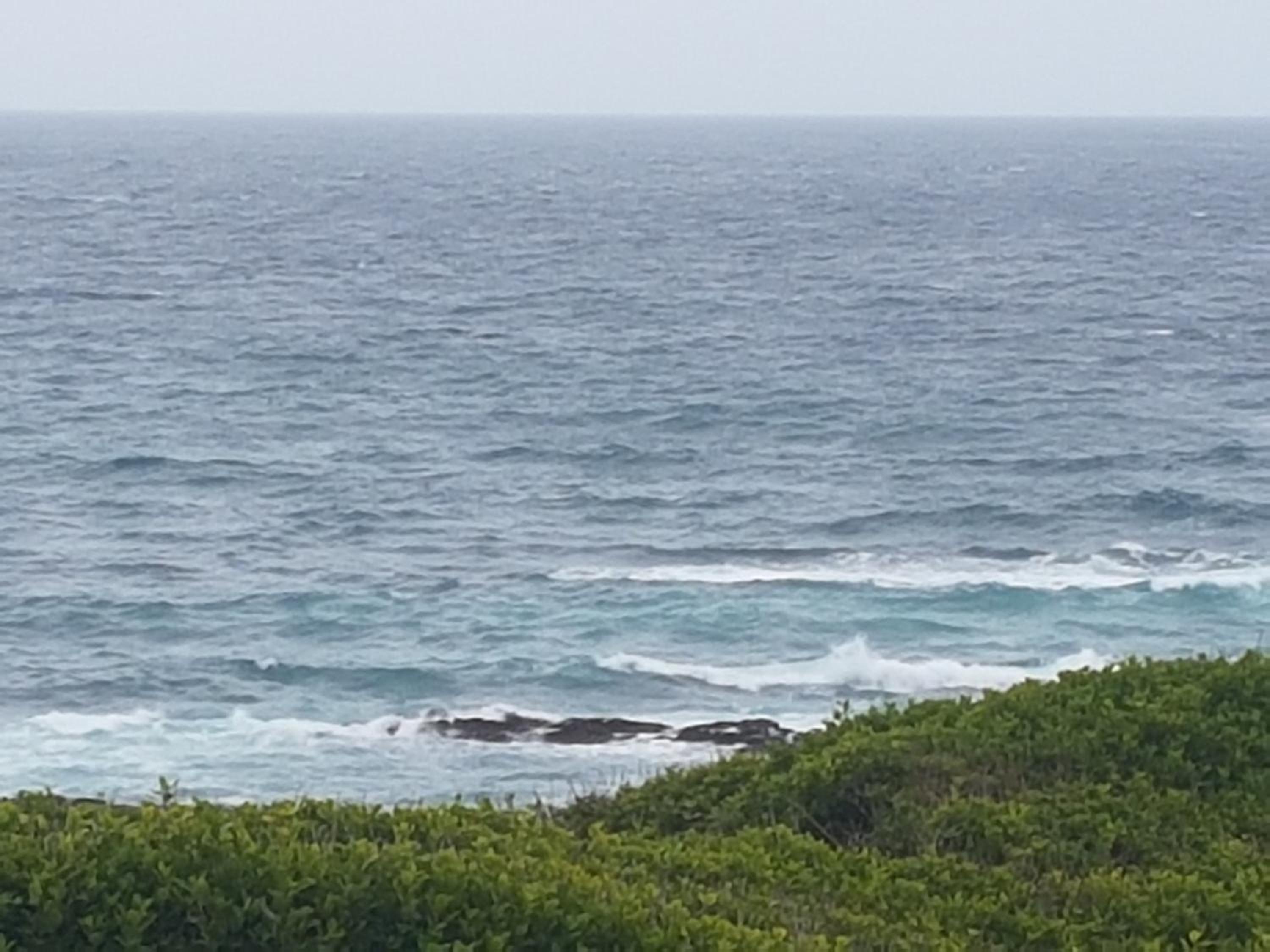 Marine48 Self-catering Port Elizabeth view 5