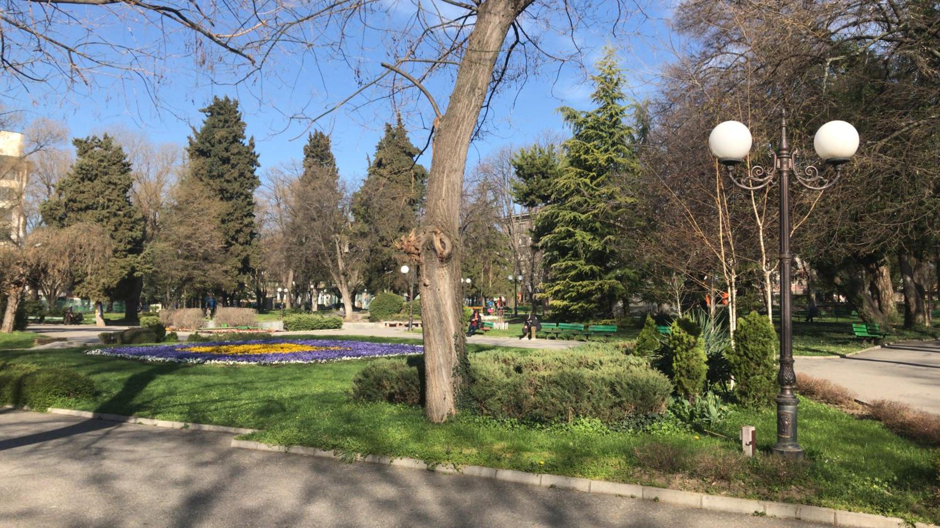 Photo 18