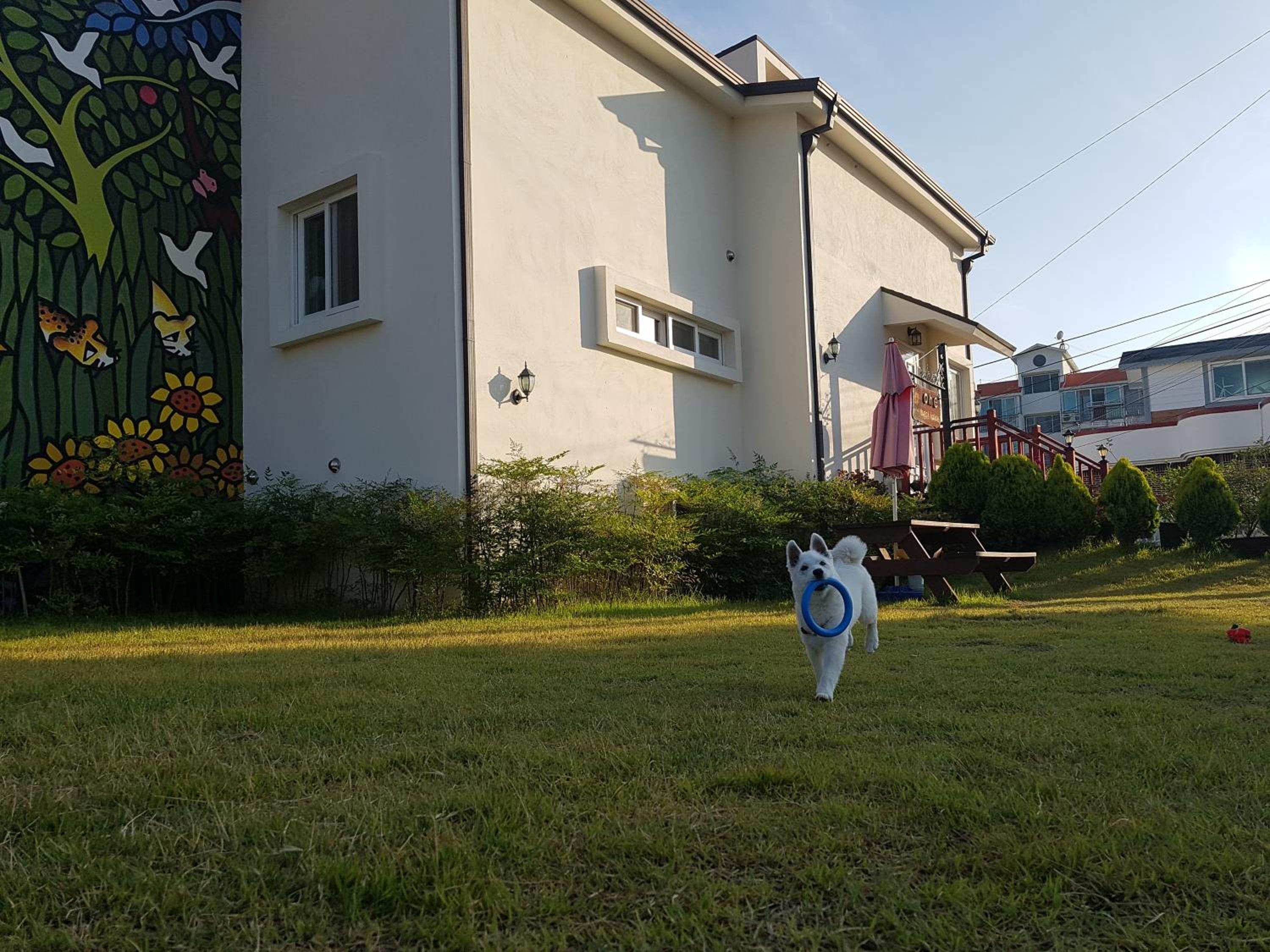 Photo 25