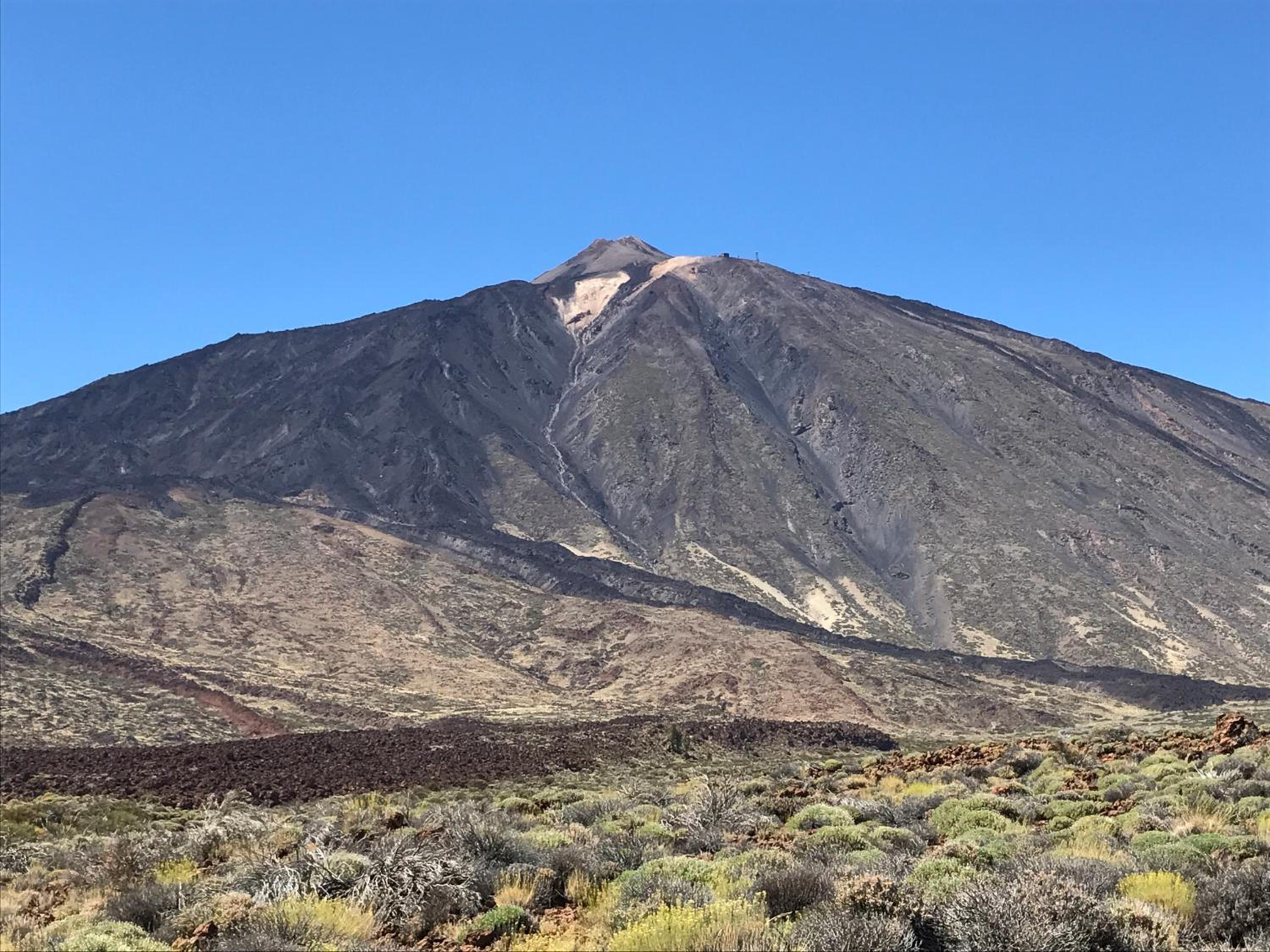 Atlantic View - quiet, peaceful and windless apt with fantastic ocean view view 4