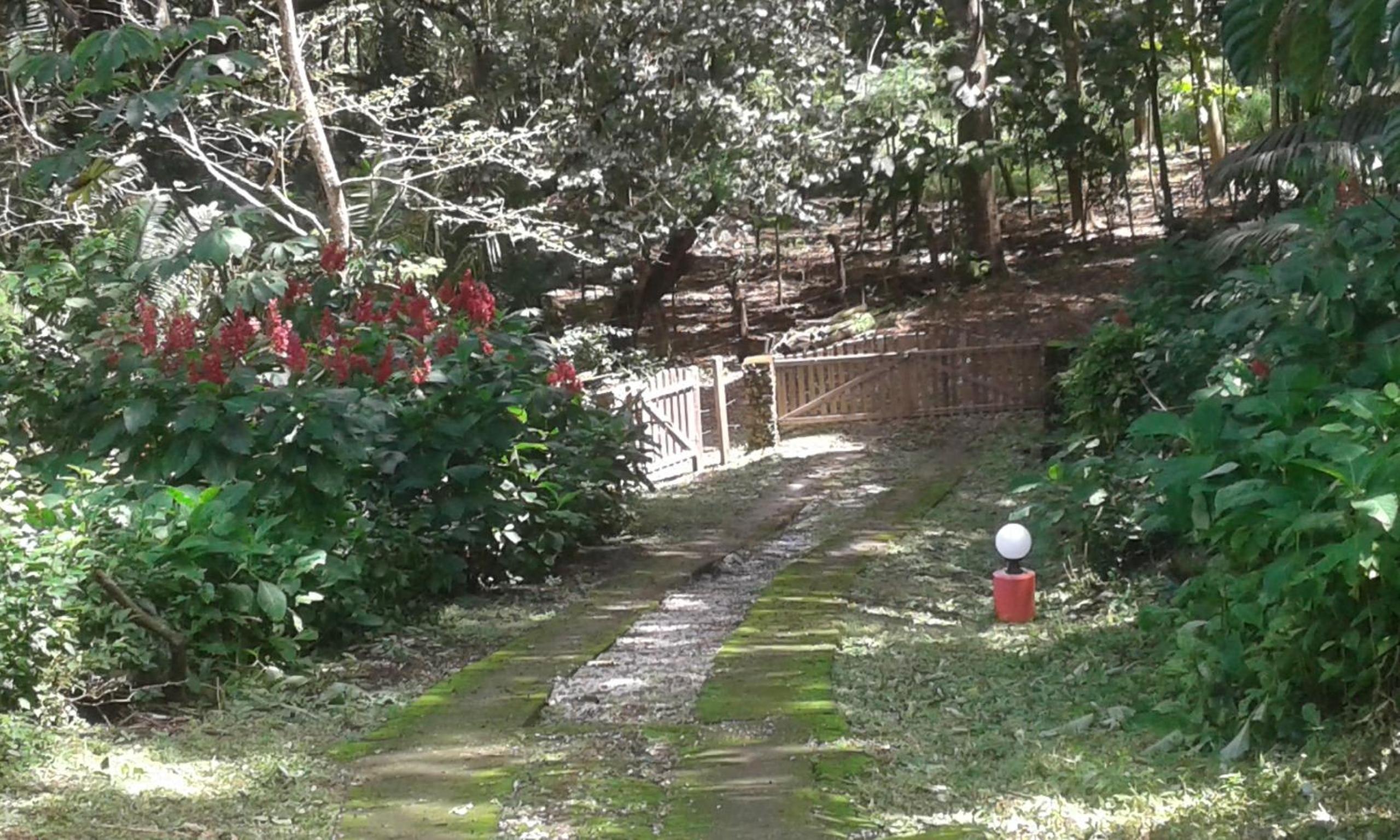 El nido rojo